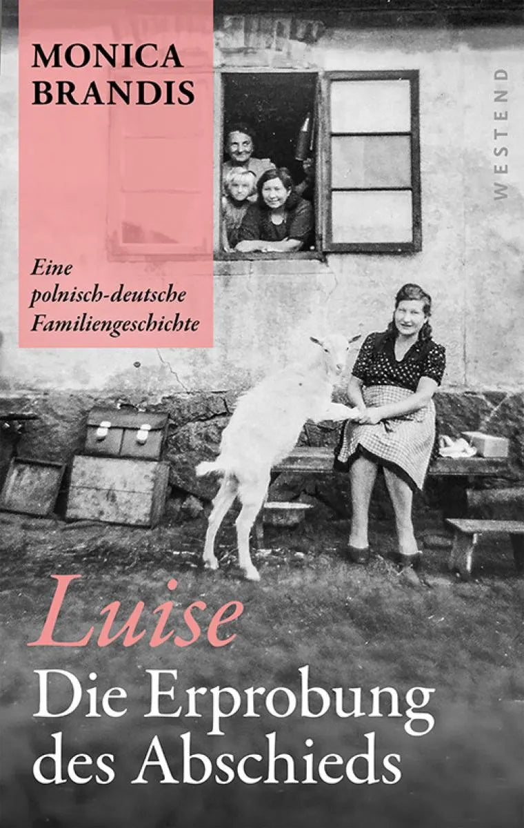Cover von Luise. Die Erprobung des Abschieds (E-Book) von Monica Brandis.