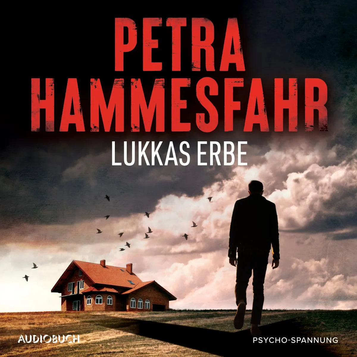 Cover: Lukkas Erbe (Hörbuch Download) von Petra Hammesfahr