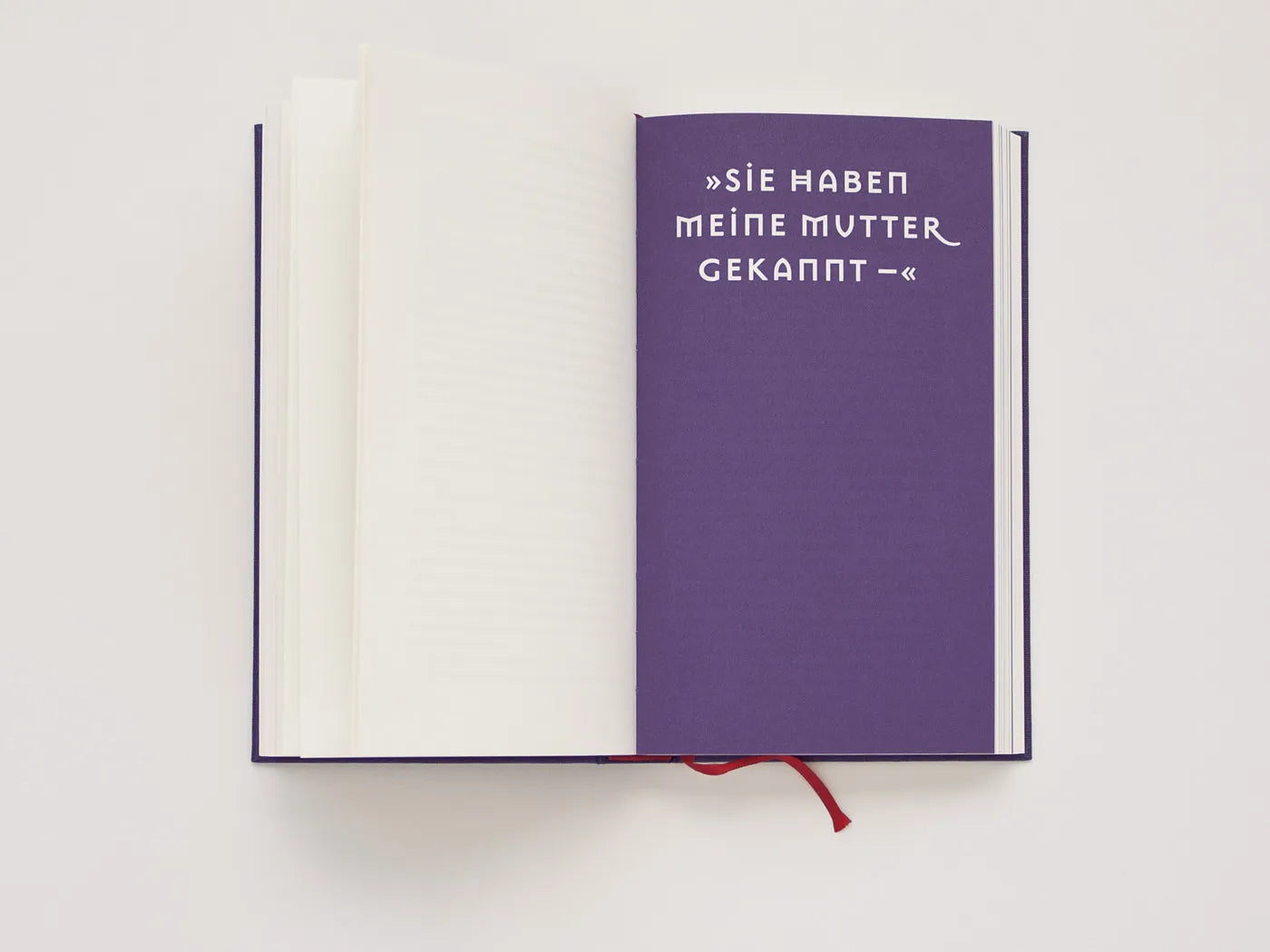 Innenansicht von 'Lustmord einer Schildkröte' - Gebundene Ausgabe