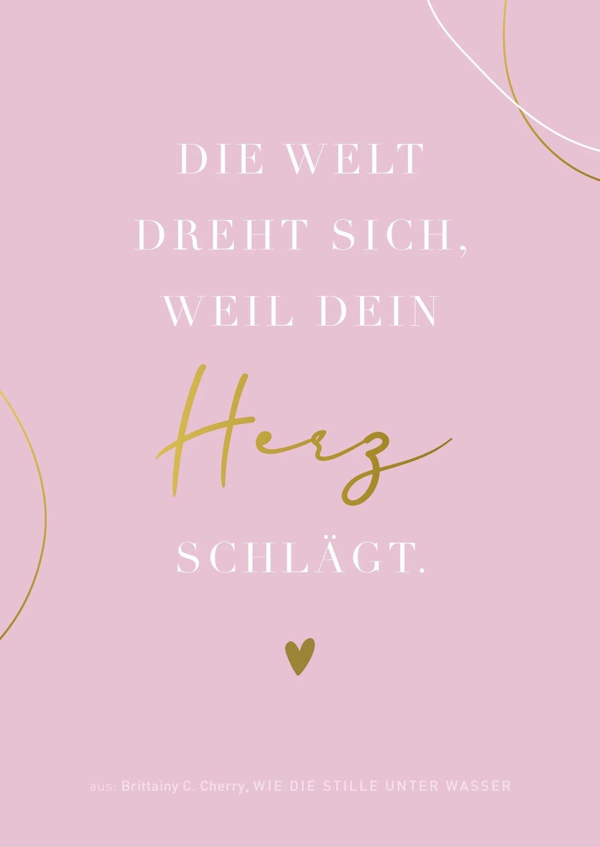 LYX-Adventskalender – Ansicht