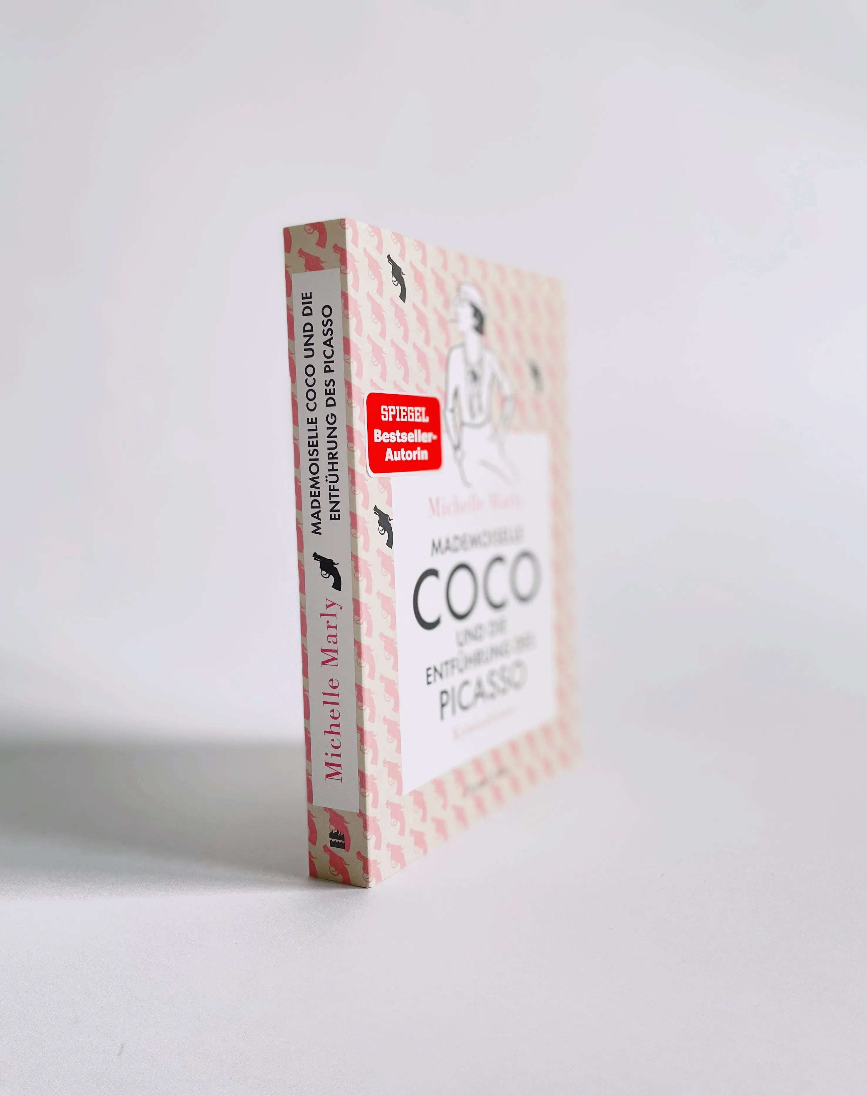 Detailansicht: Mademoiselle Coco und die Entführung des Picasso (Taschenbuch)