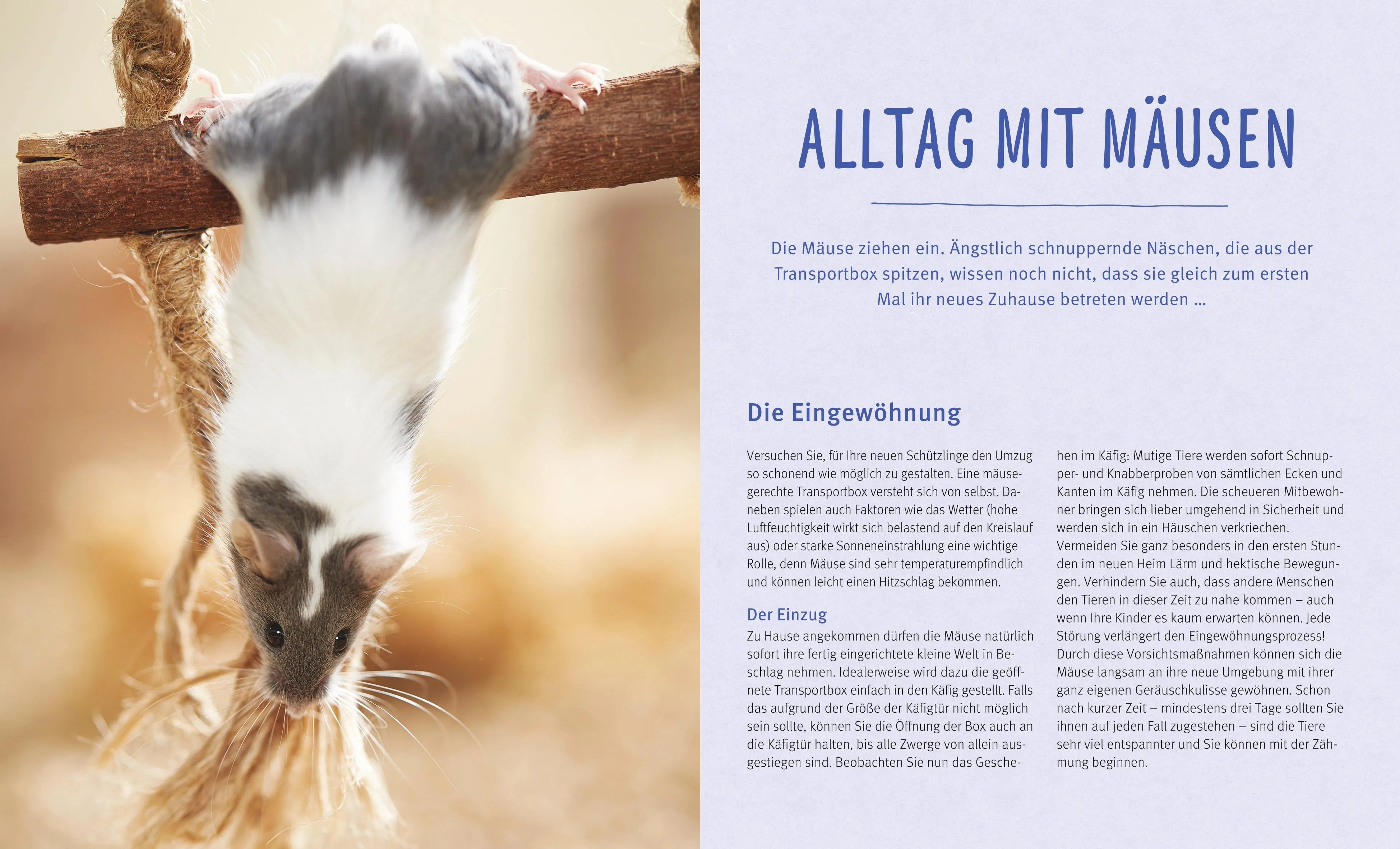 Abbildung von 'Mäuse'