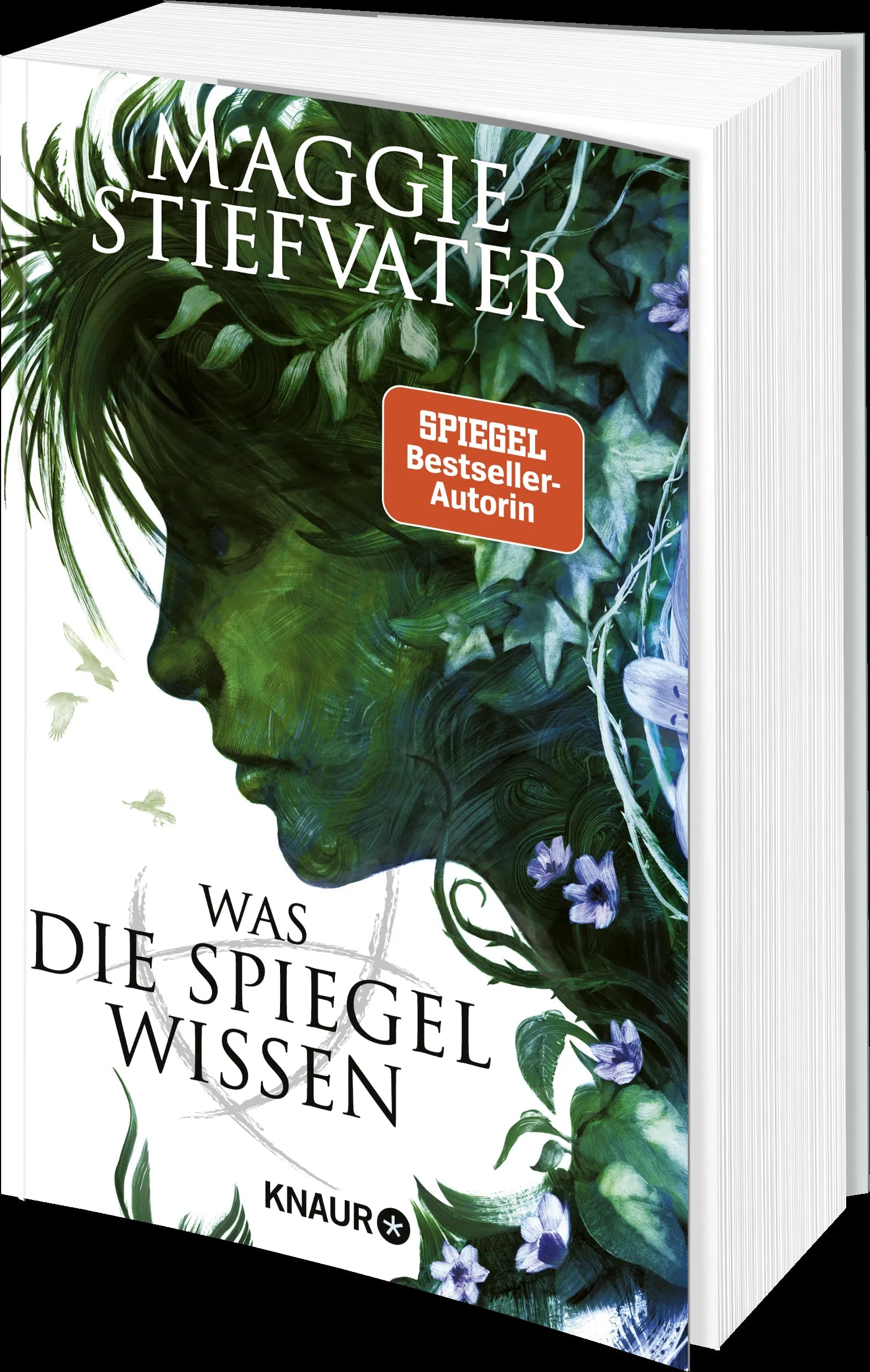 Produktansicht: Was die Spiegel wissen (Taschenbuch)