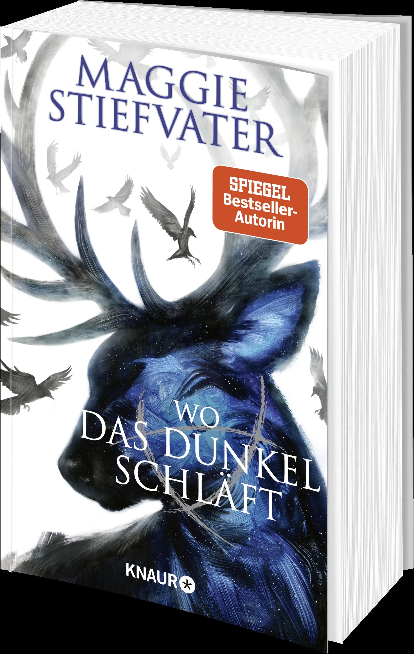 Produktansicht: Wo das Dunkel schläft (Taschenbuch)