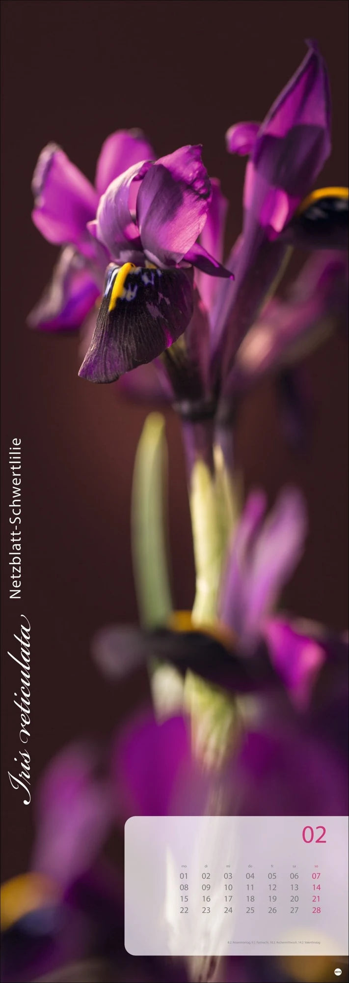 Magic Flowers Vertical Kalender 2027 – Ansicht