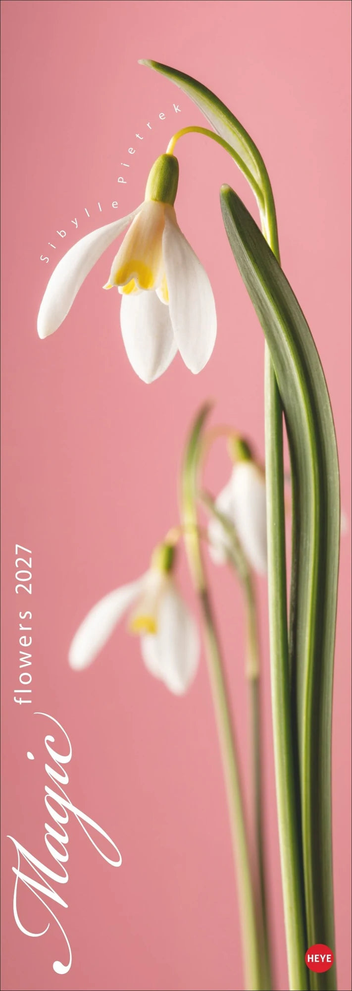 Wandkalender: Magic Flowers Vertical Kalender 2027