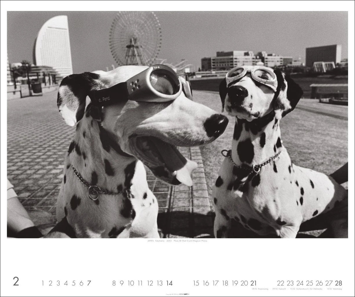 Magnum Photos - Elliott Erwitt Kalender 2027 – Ansicht