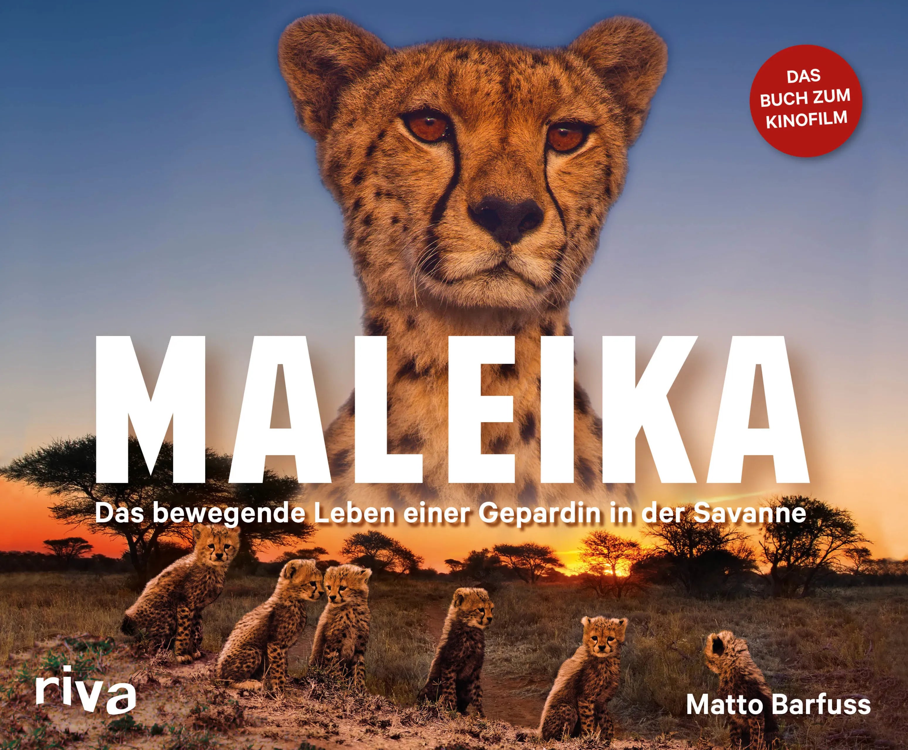 Buchcover von 'Maleika' - Gebundene Ausgabe von Matto Barfuss