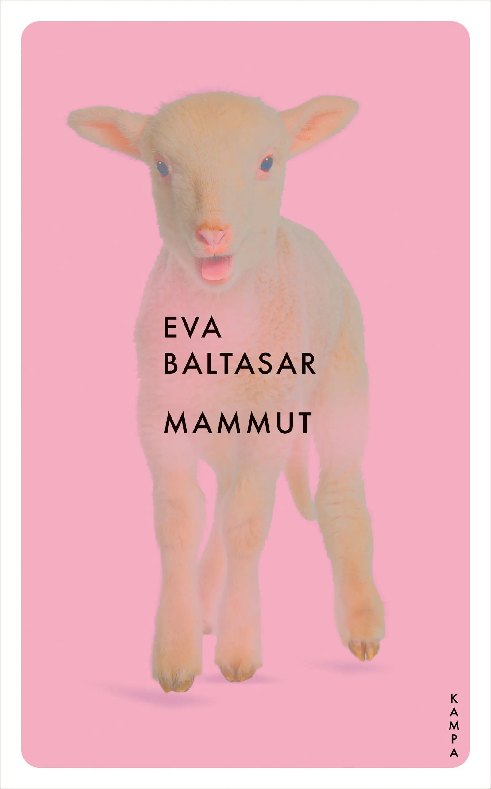Cover: Mammut (Taschenbuch) von Eva Baltasar