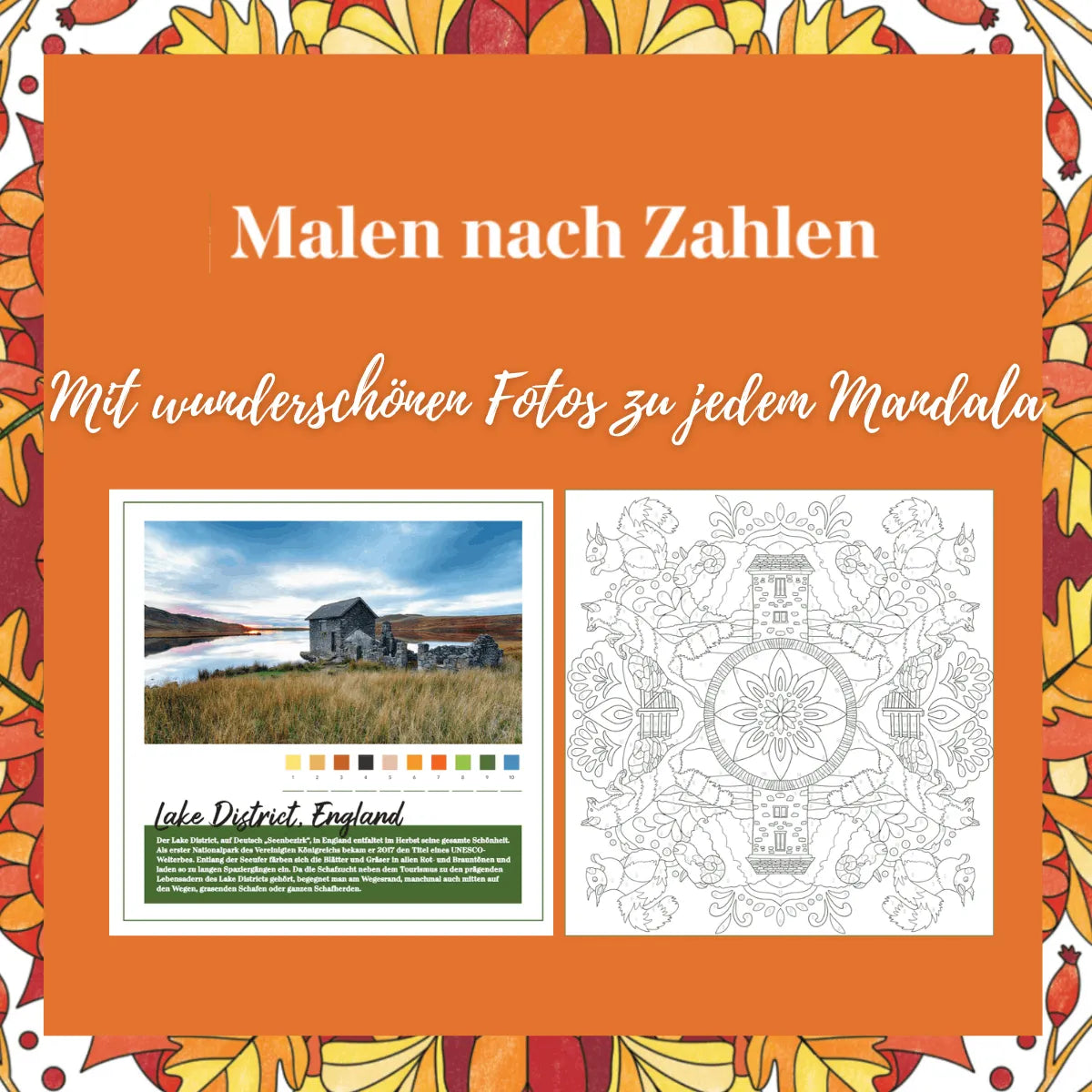 Detailansicht: Mandala-Reise Herbst (Taschenbuch)