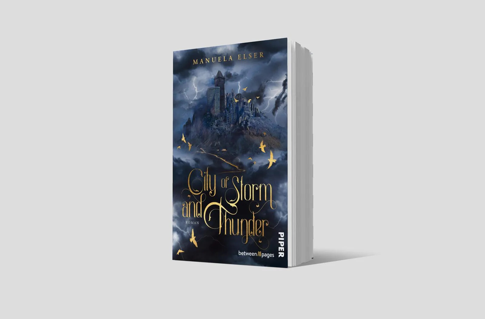 Produktansicht: City of Storm and Thunder (Taschenbuch)
