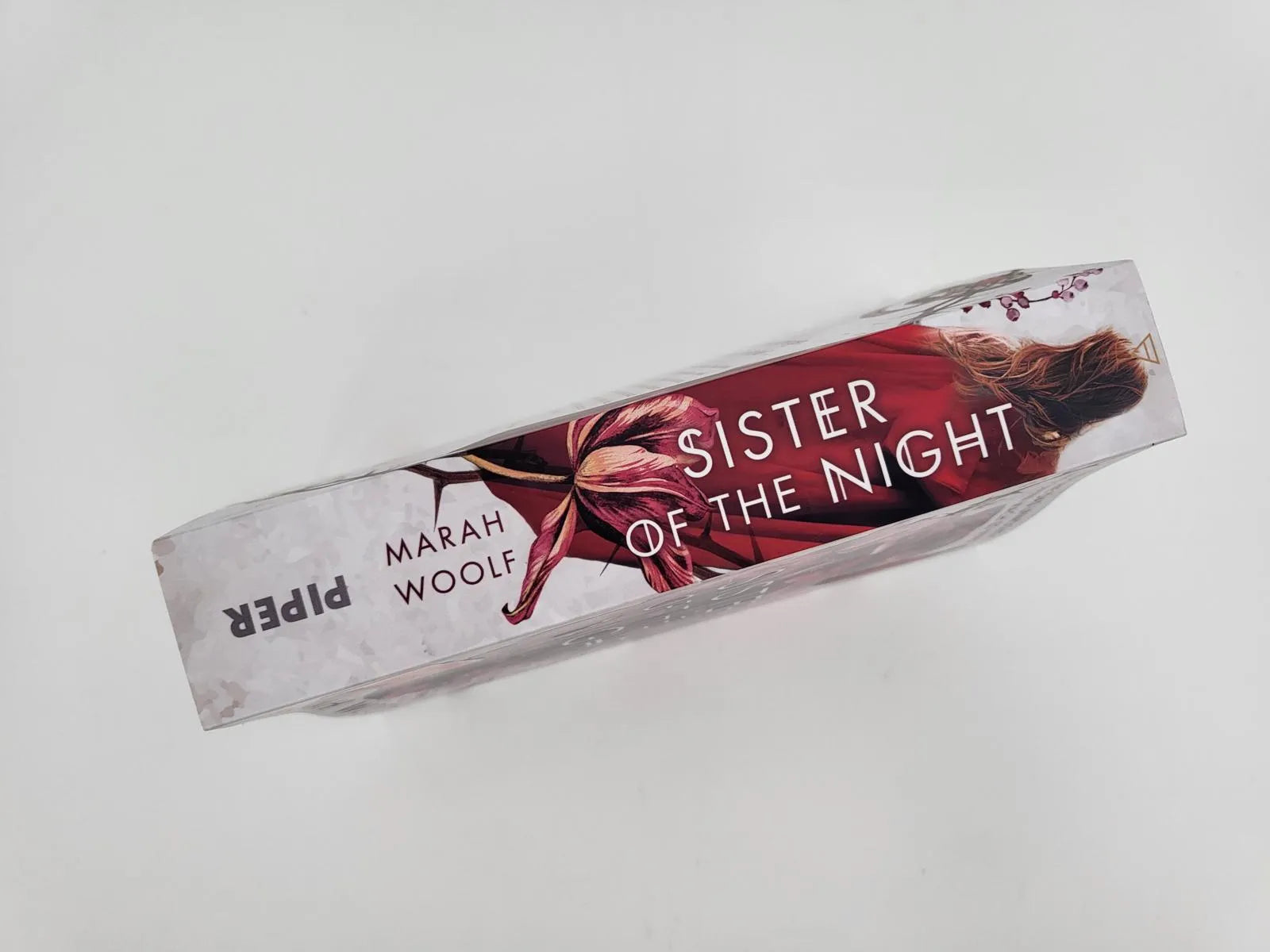 Produktansicht: Sister of the Night (Paperback)