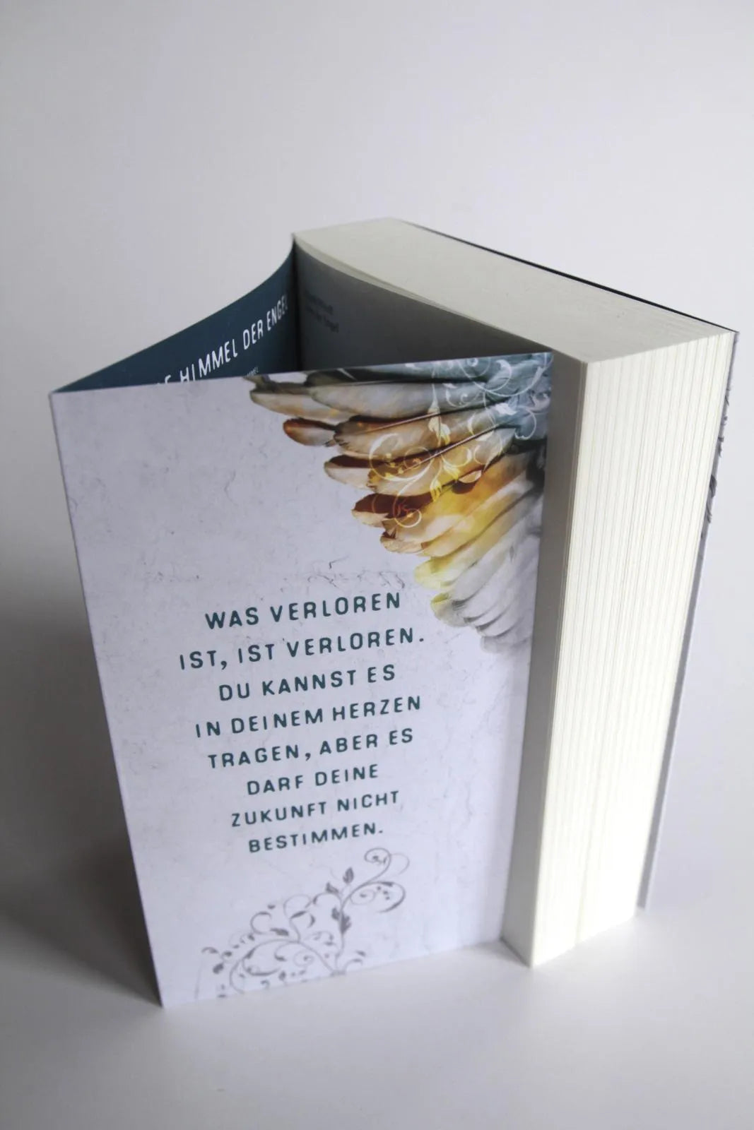 Produktansicht: Zorn der Engel (Paperback)