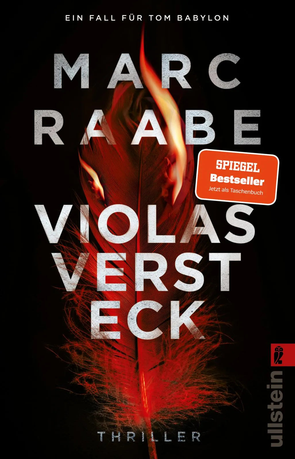 Produktansicht: Violas Versteck (Taschenbuch)