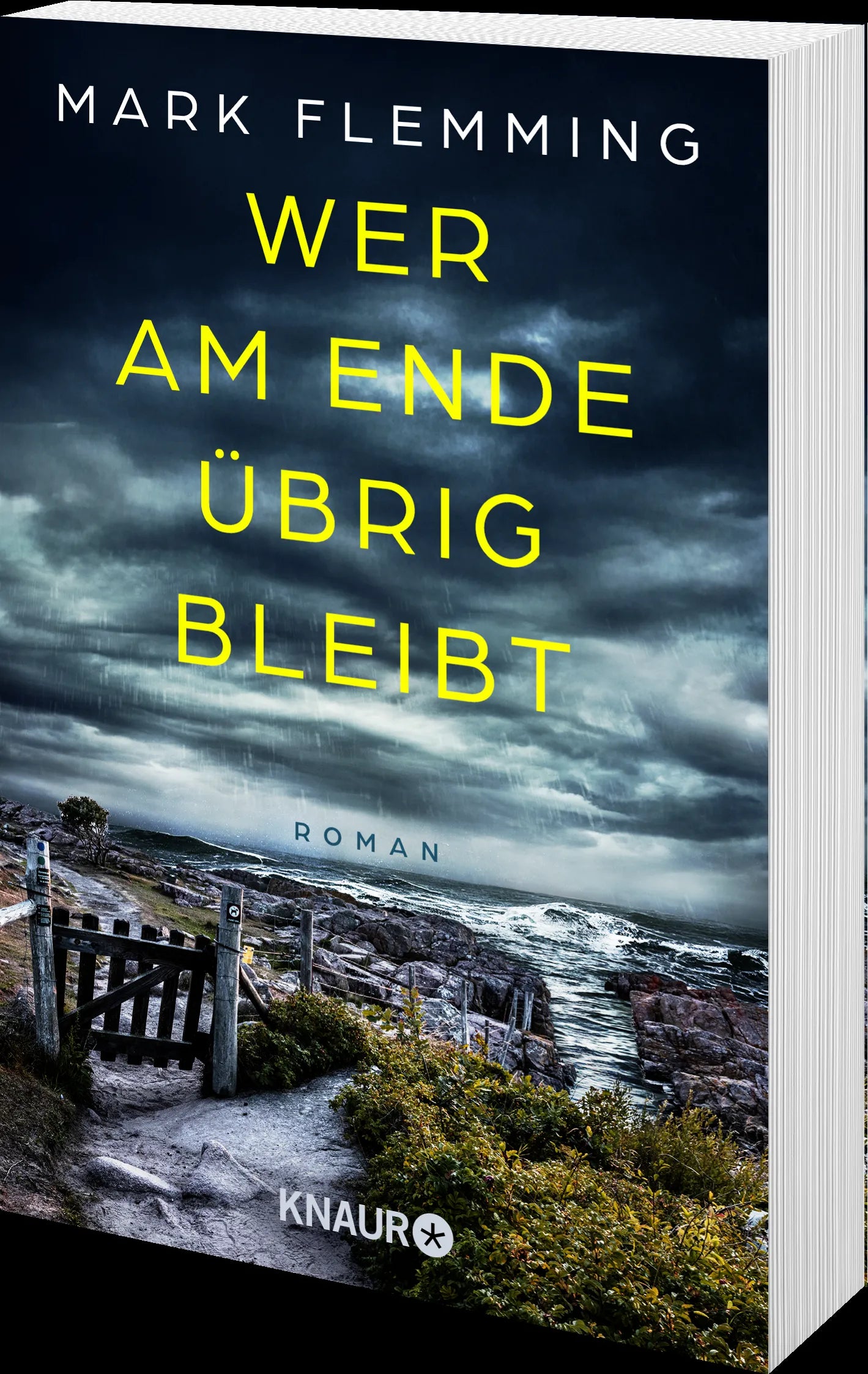 Produktansicht: Wer am Ende übrig bleibt (Taschenbuch)