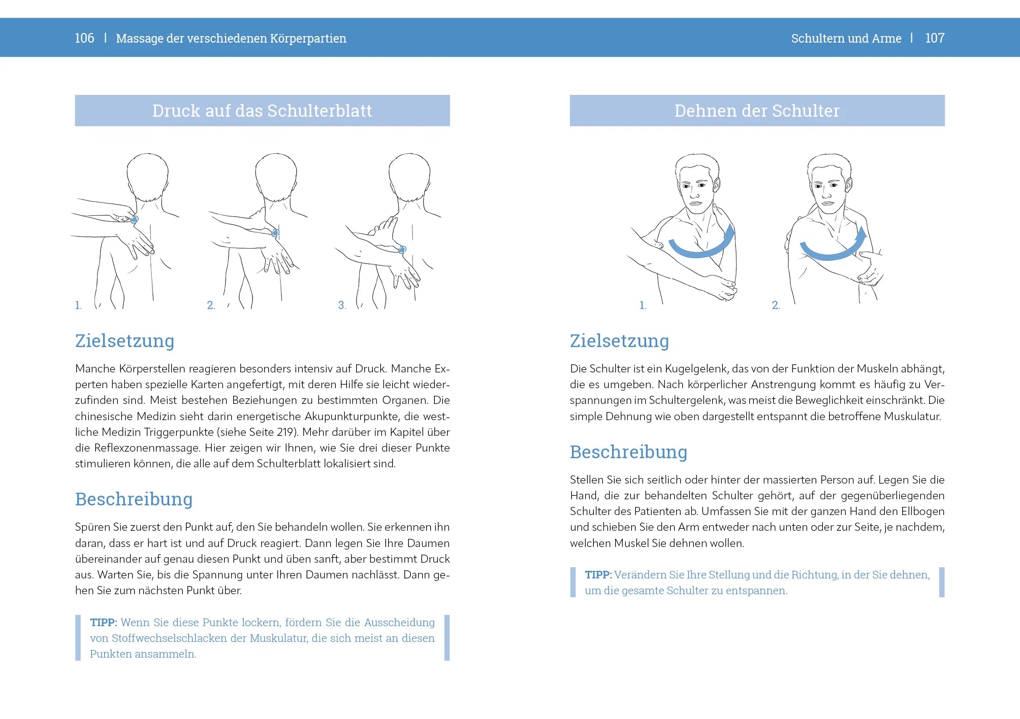 Innenansicht von 'Massage-Handbuch' - Taschenbuch