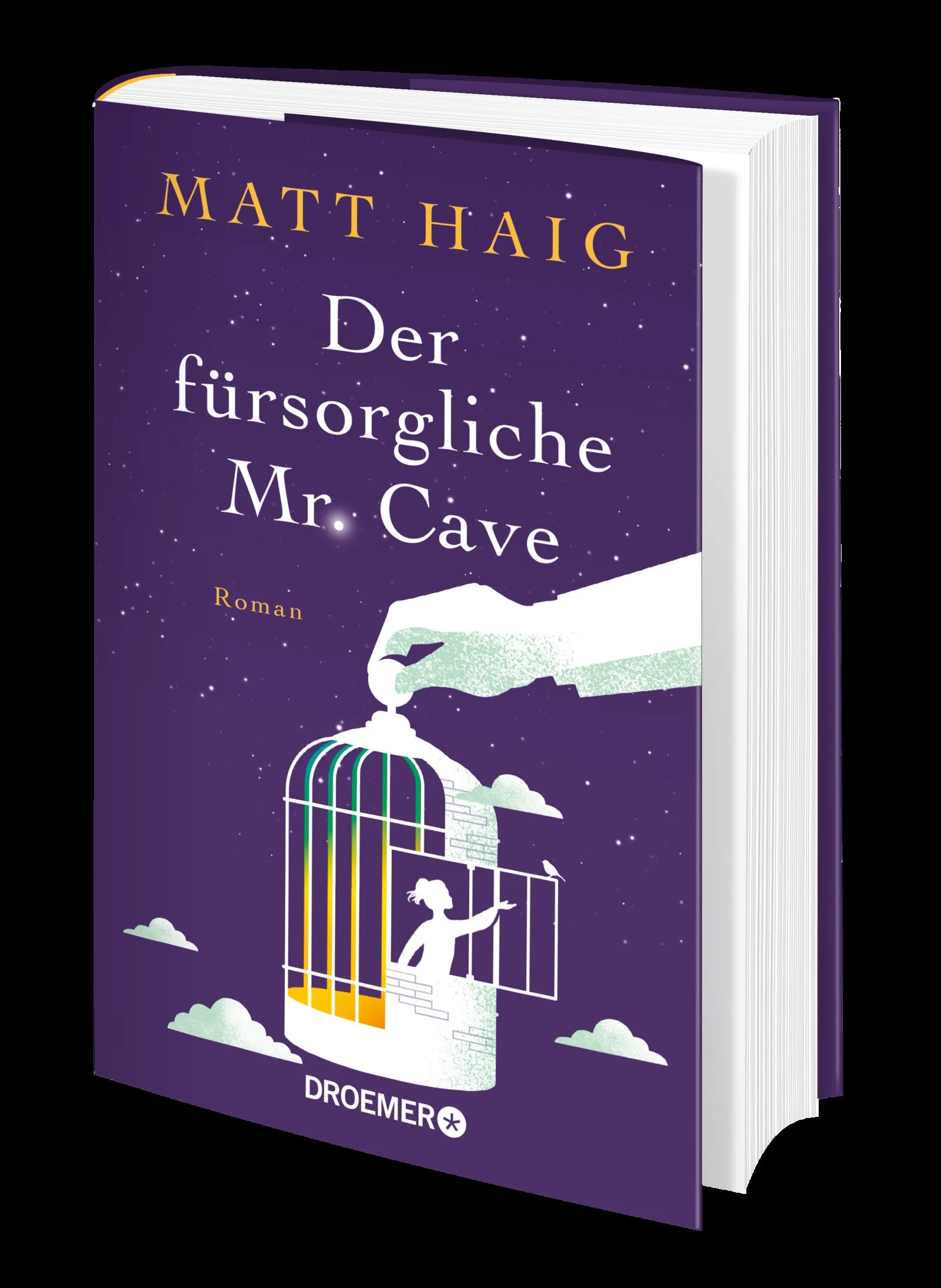 Produktansicht: Der fürsorgliche Mr. Cave (Gebundene Ausgabe)