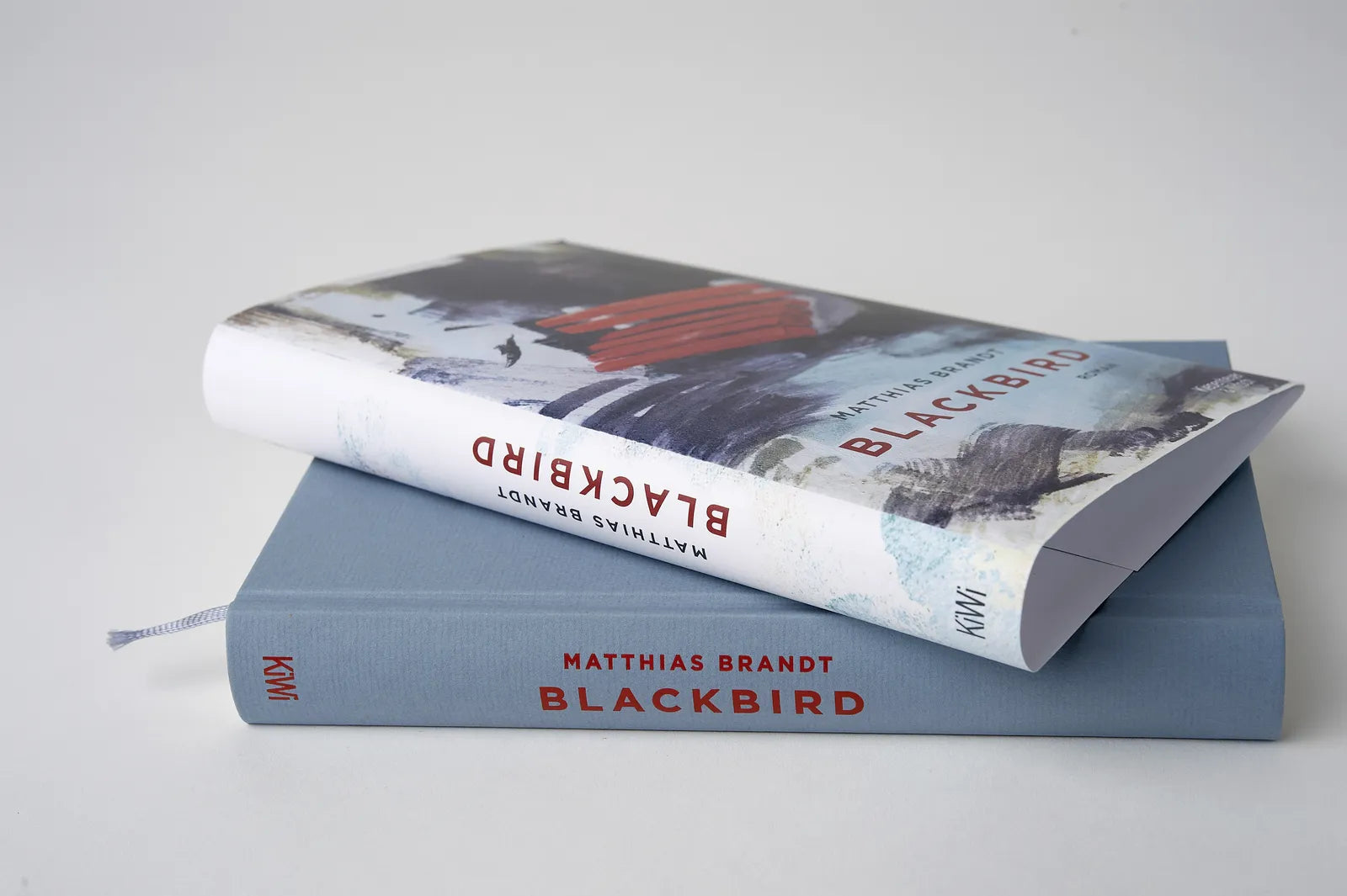 Produktansicht: Blackbird (Gebundene Ausgabe)