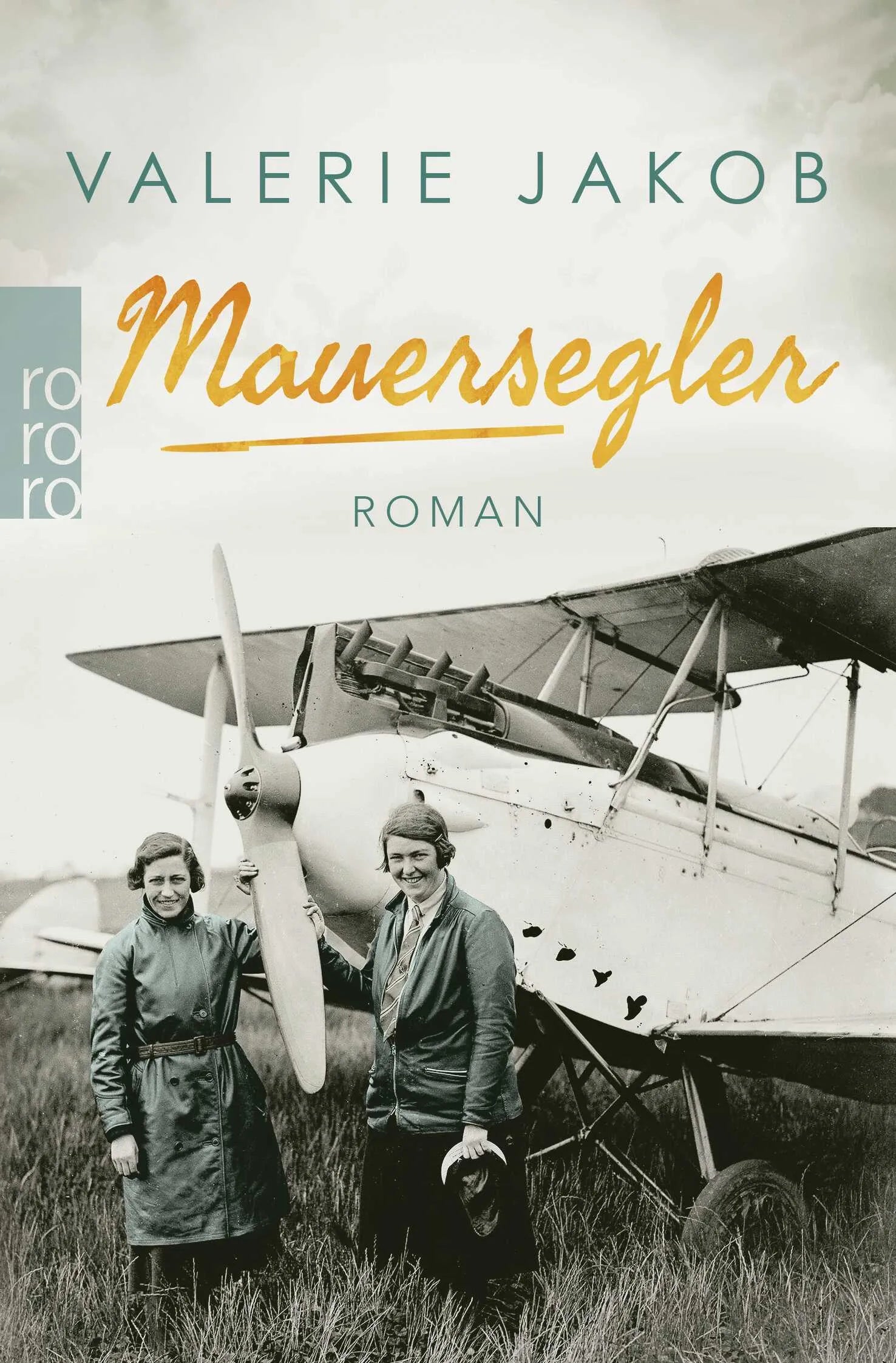 Buchcover von 'Mauersegler' - Taschenbuch von Valerie Jakob