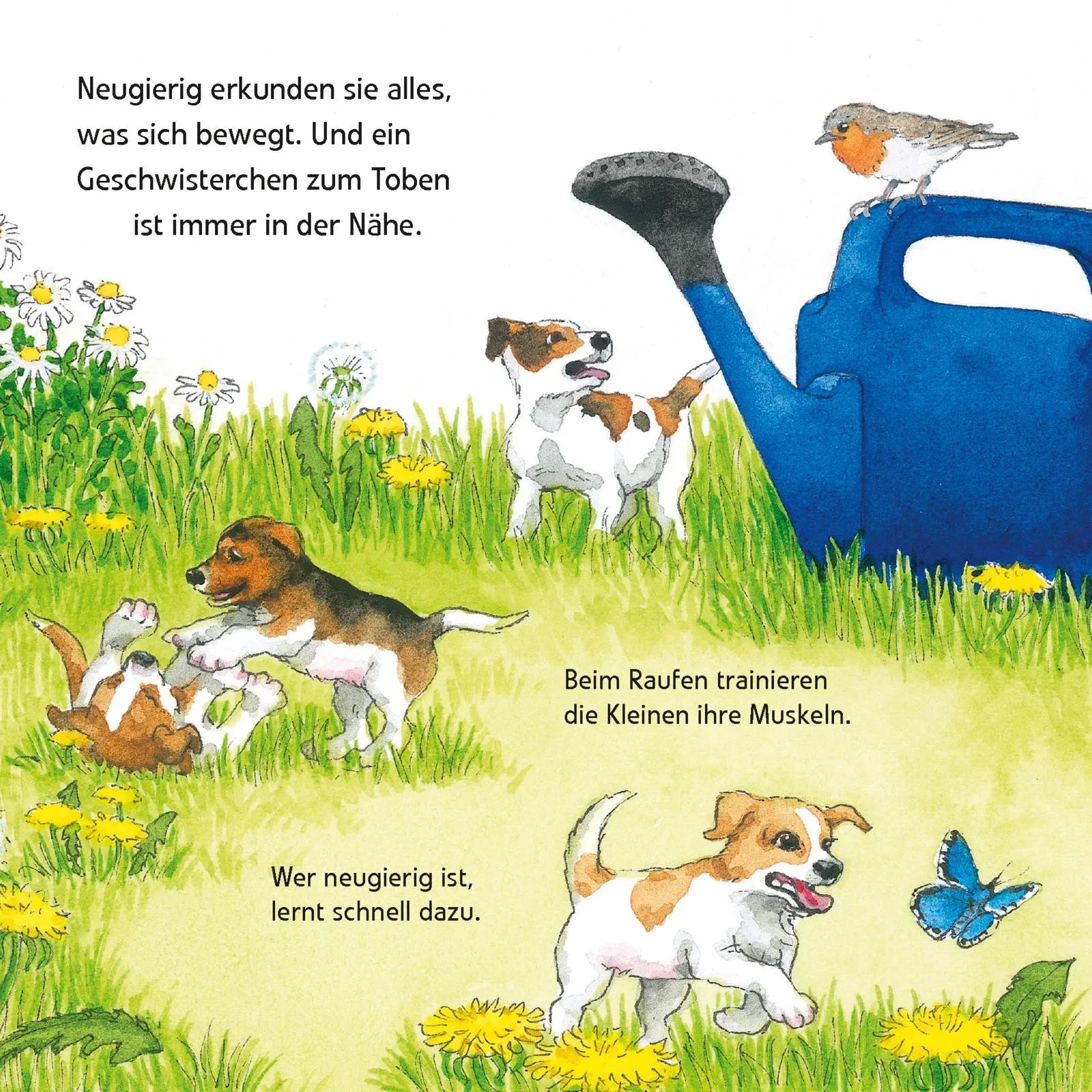 Laura Leintz - Maxi Pixi 463: Entdecke die Tierkinder