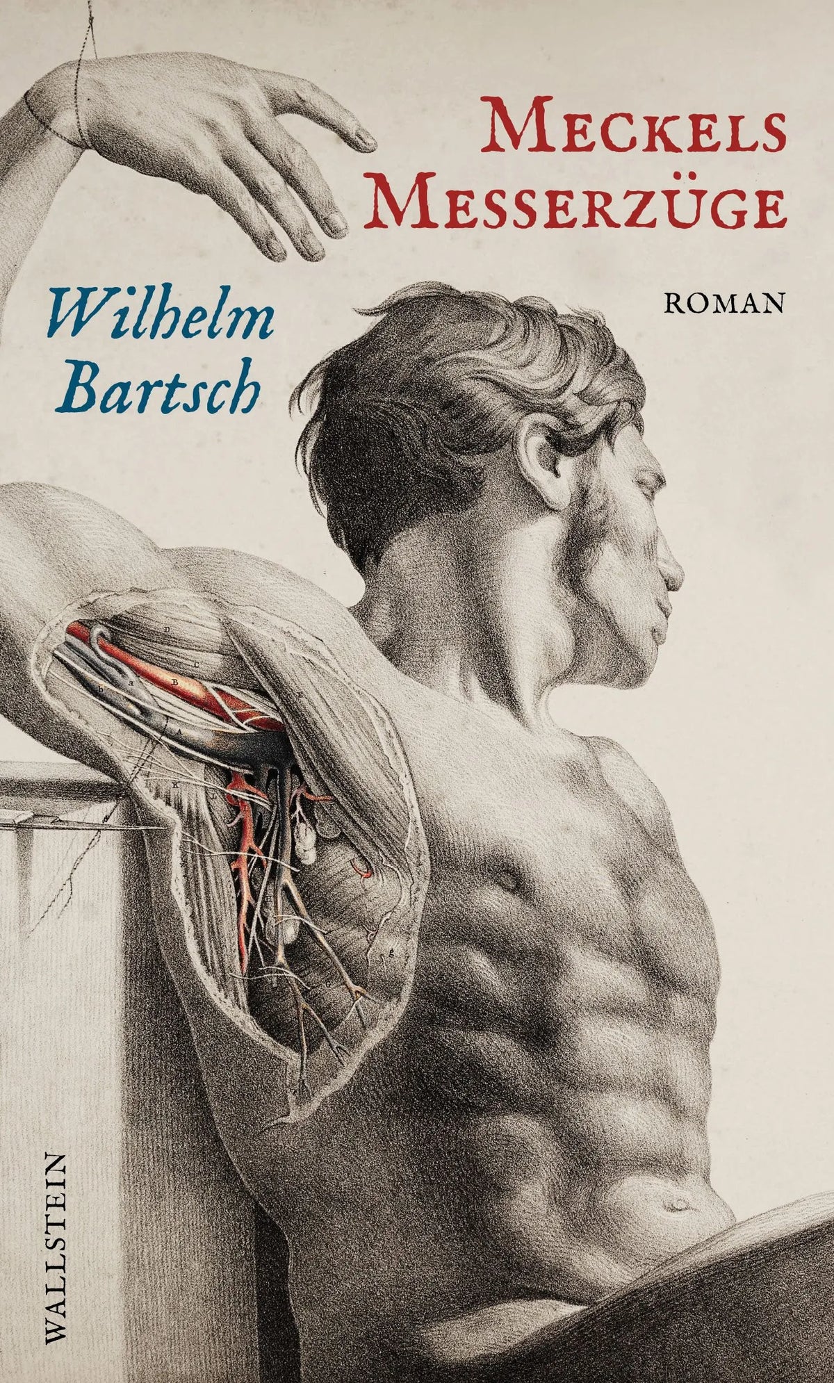 Cover: Meckels Messerzüge (E-Book) von Wilhelm Bartsch