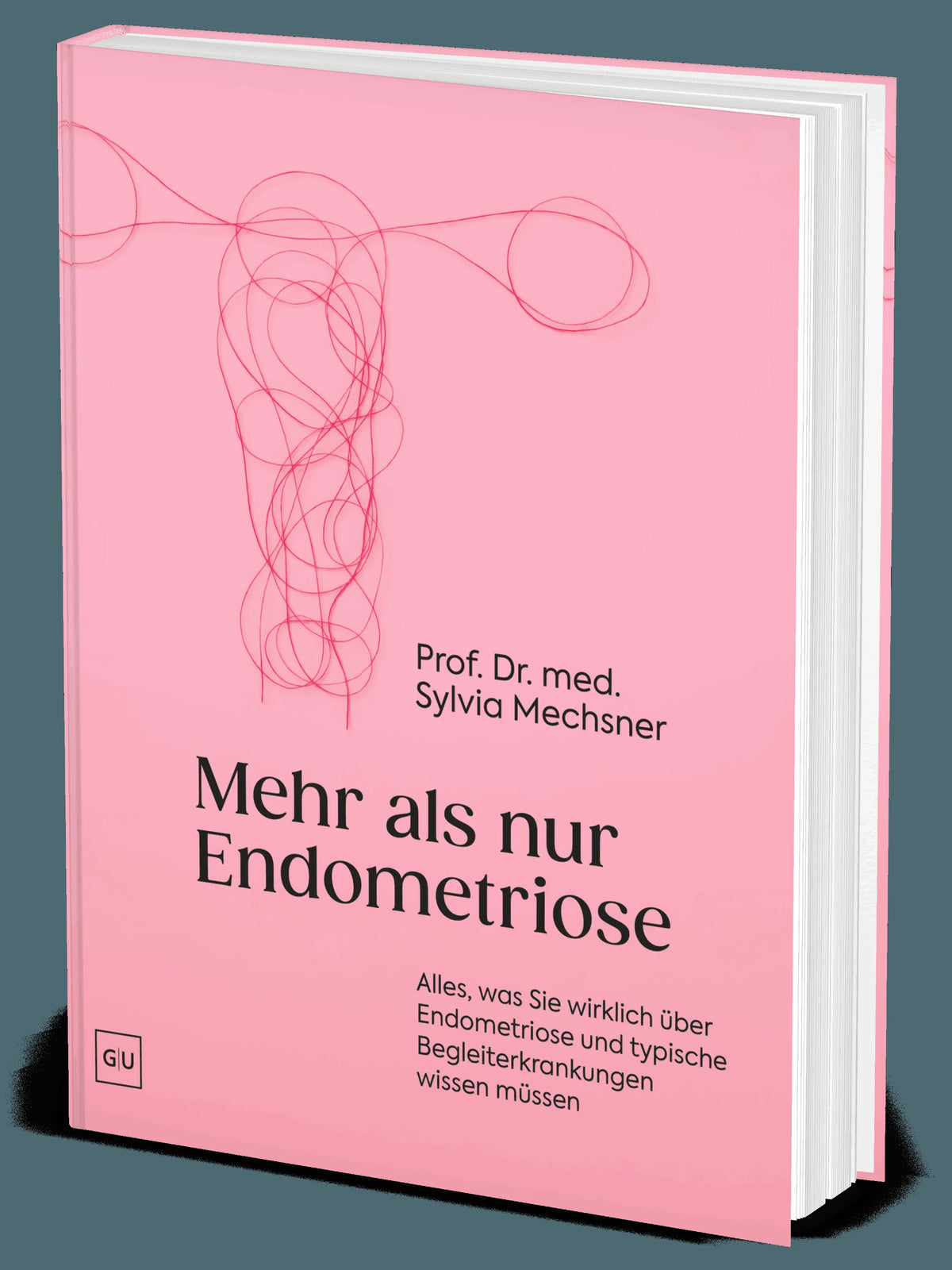 Cover: Mehr als nur Endometriose (Hardcover) von Sylvia Mechsner
