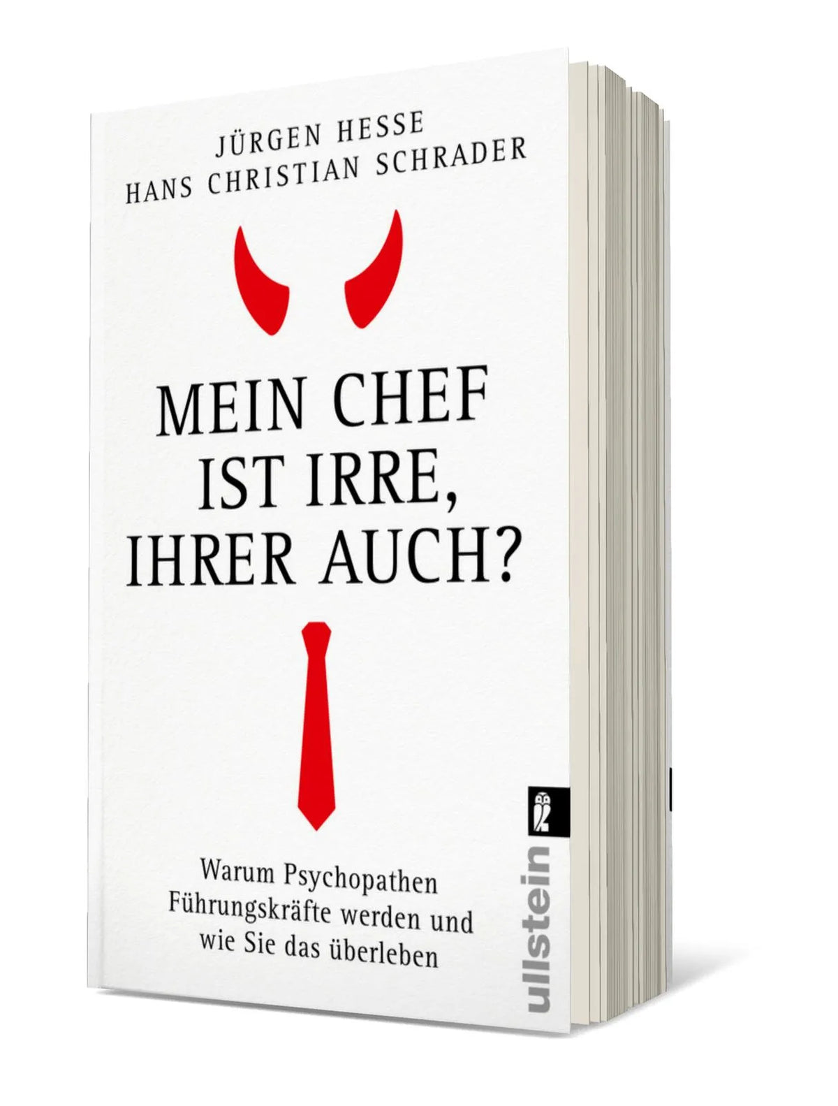 Produktansicht: Mein Chef ist irre – Ihrer auch? (Taschenbuch)