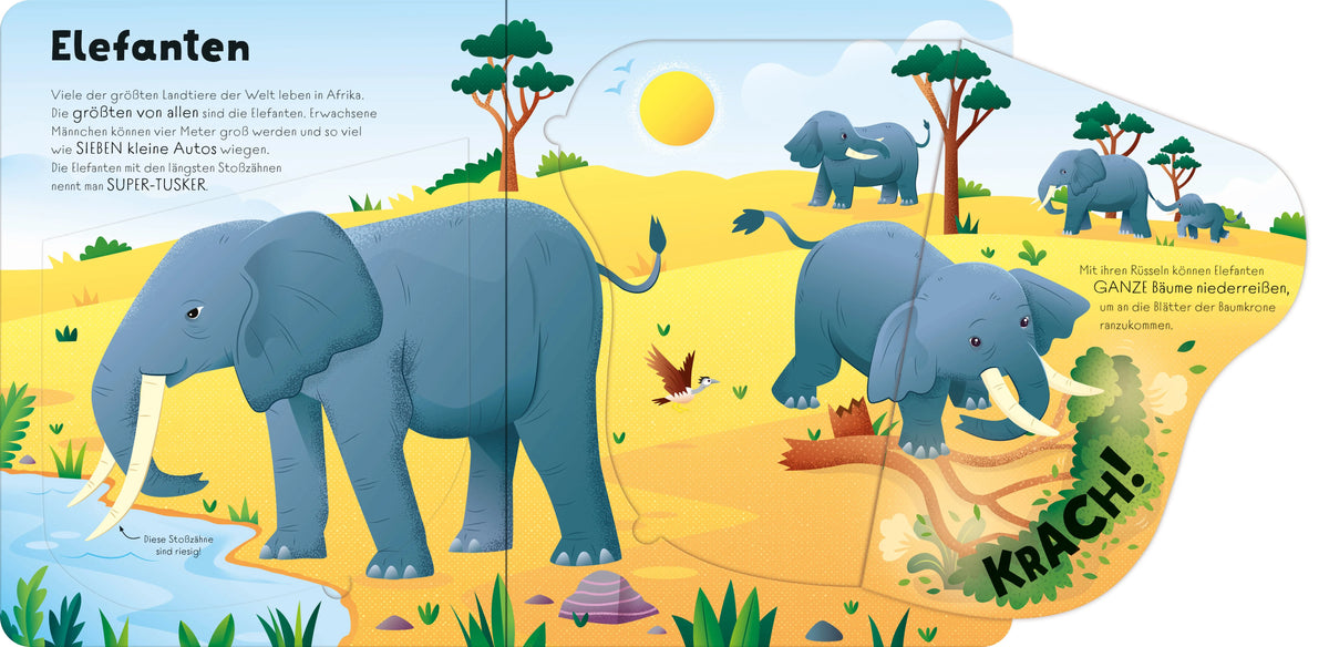 Detailansicht: Mein erstes Wissen zum Aufklappen: Groß, größer, wilde Tiere! (Hardcover)