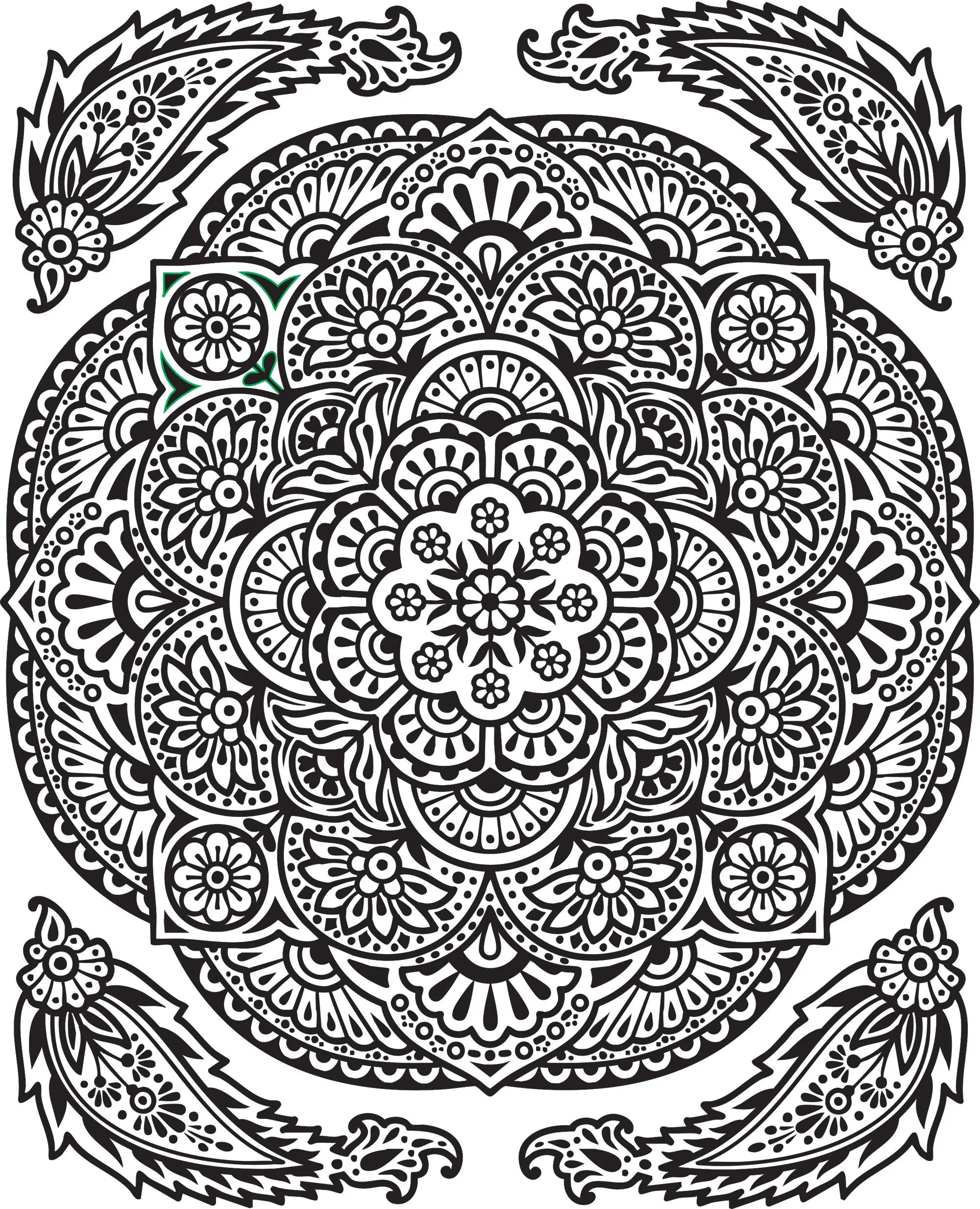 Detailansicht: Mein Farbenzauber-Malbuch: Mandalas (Taschenbuch)