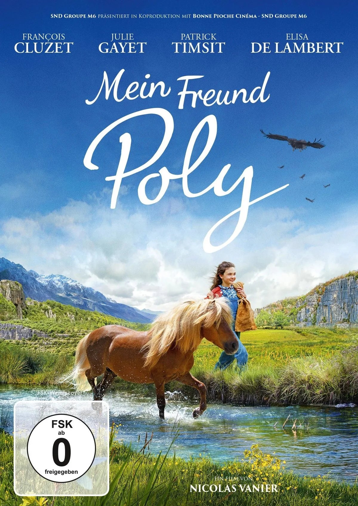 Mein Freund Poly - DVD
