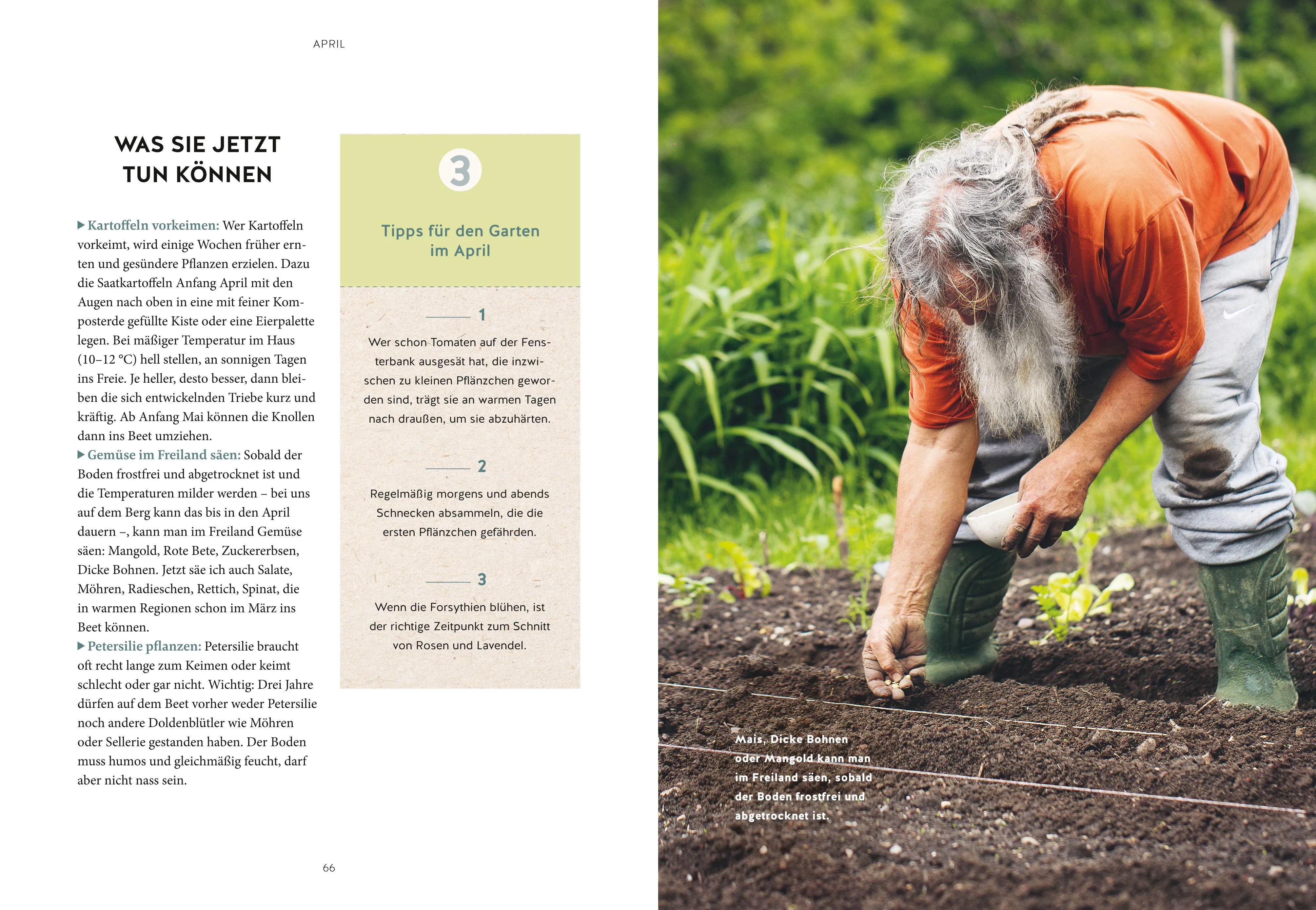 Produktansicht: Mein Gartenkalender 2026 (Gebundene Ausgabe)