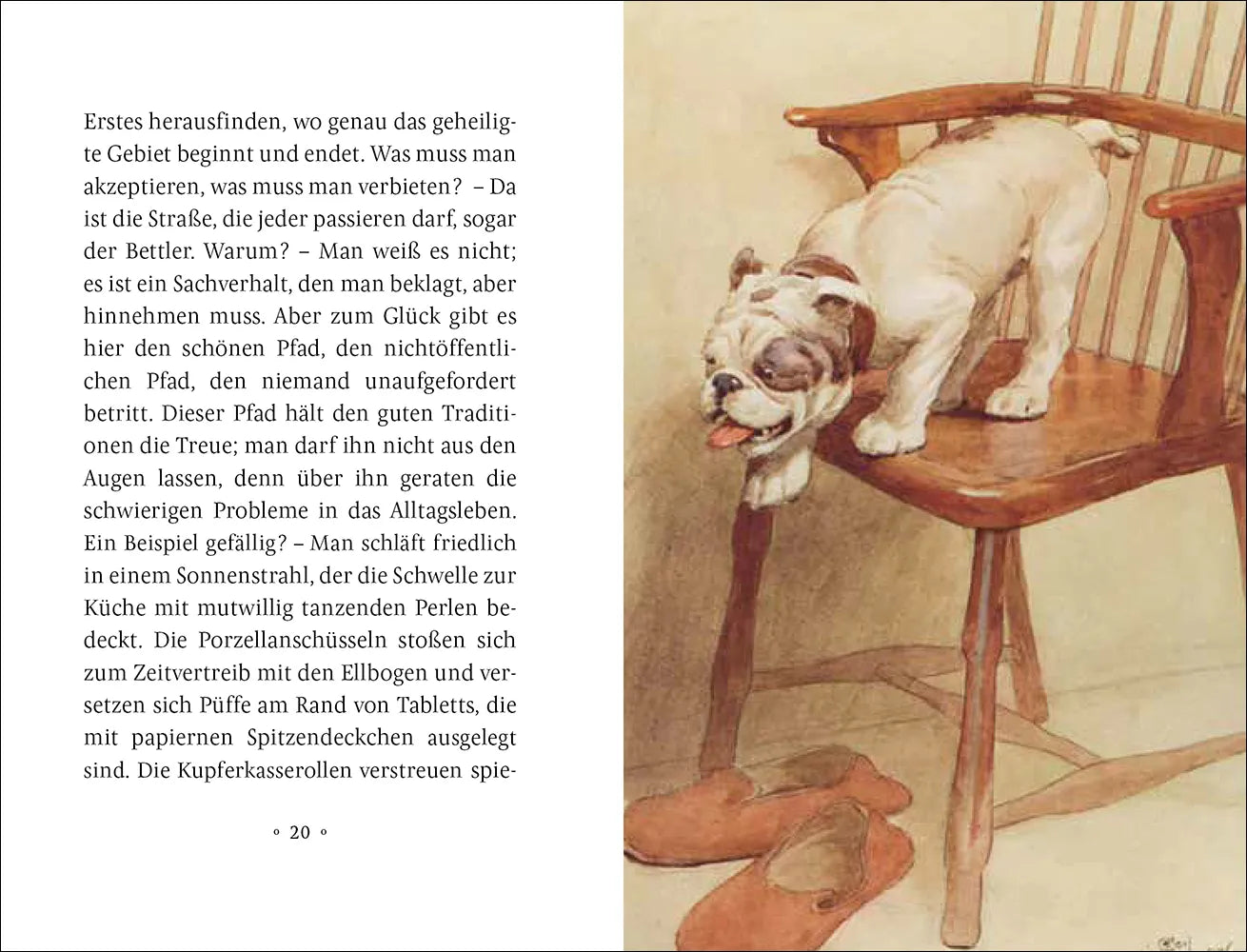 Abbildung von 'Mein Hund'