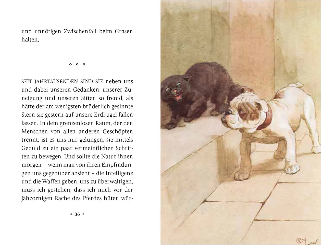 Produktansicht: Mein Hund (Gebundene Ausgabe)