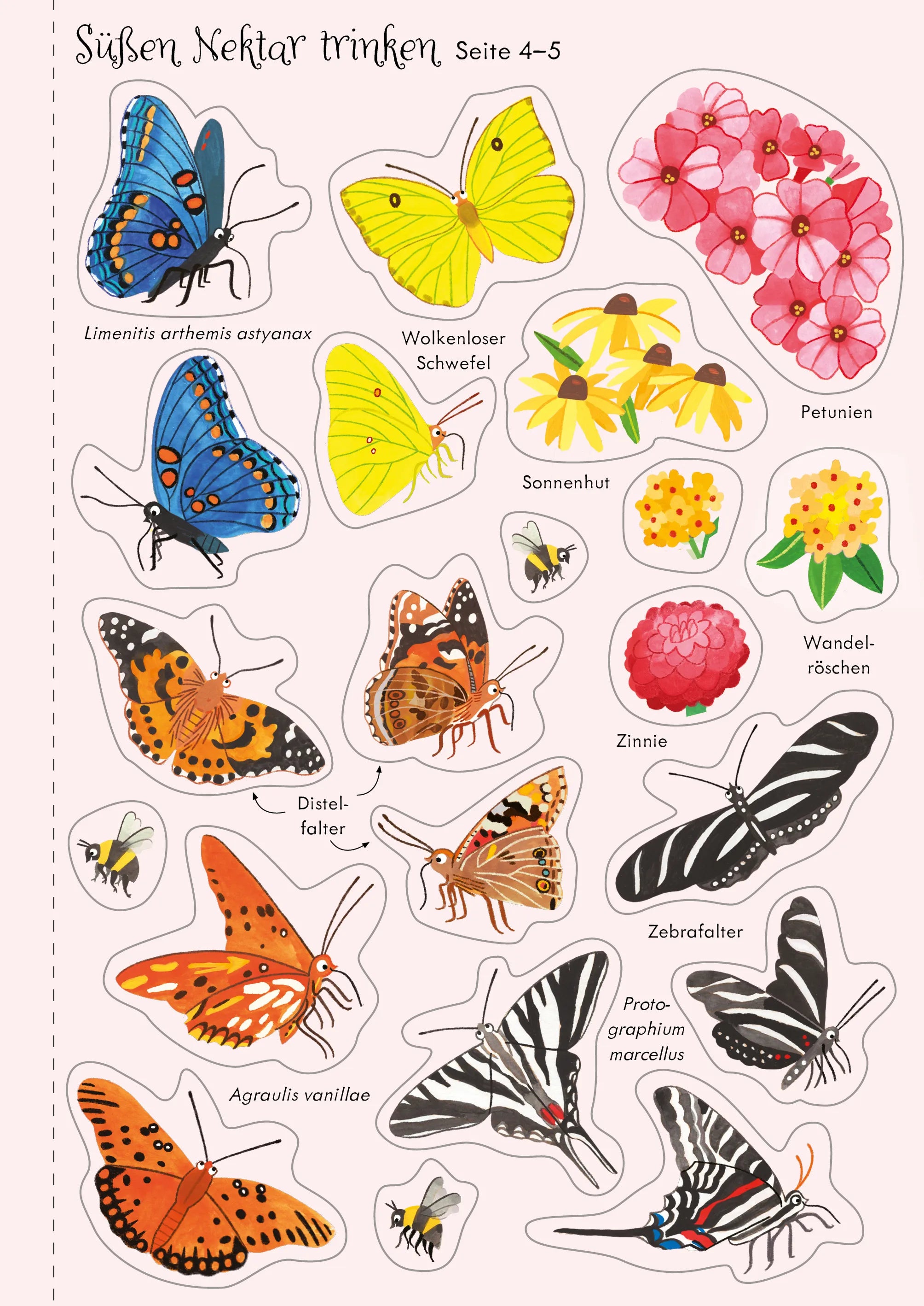Jane Bingham - Mein Immer-wieder-Stickerbuch: Schmetterlinge