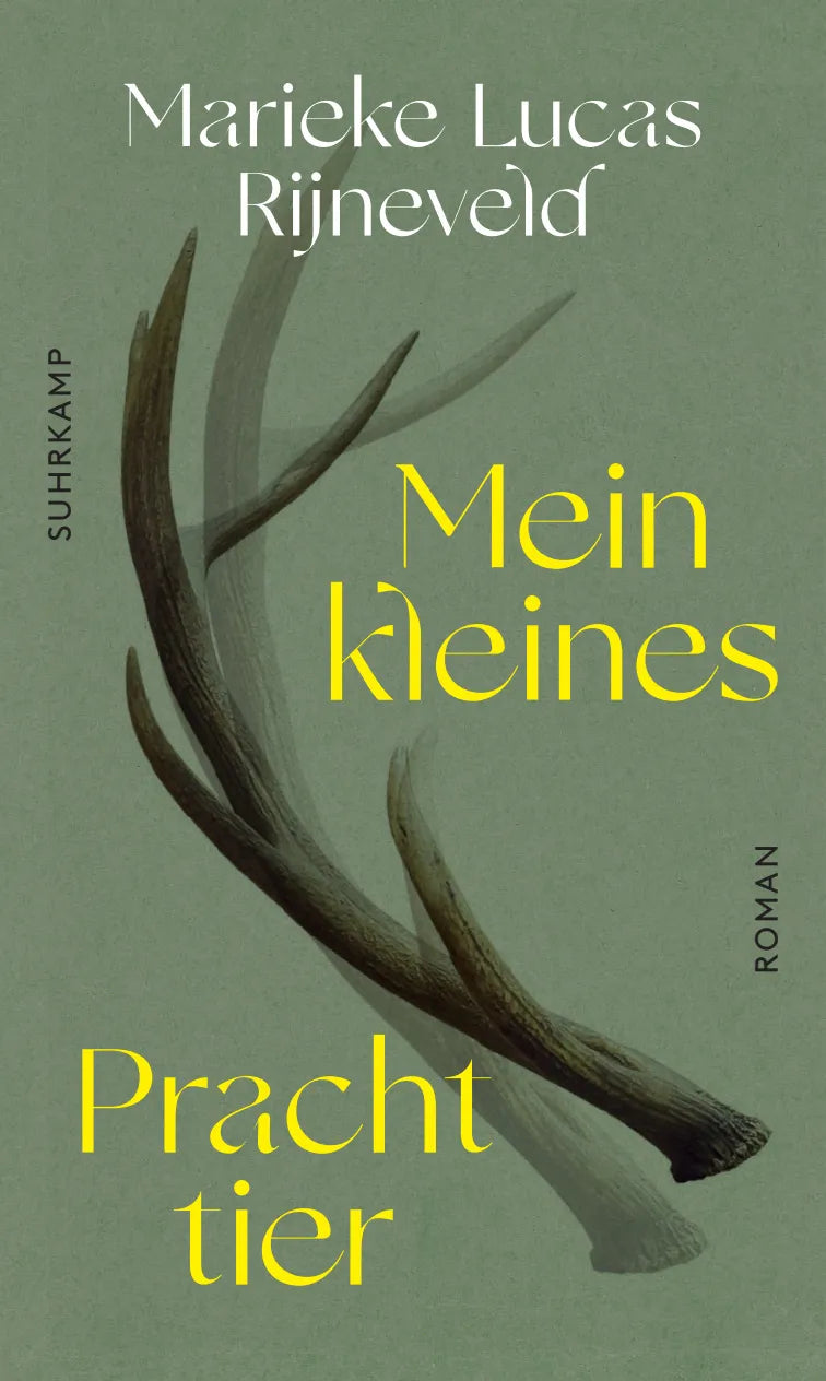 Buchcover von 'Mein kleines Prachttier' - Gebundene Ausgabe von Lucas Rijneveld