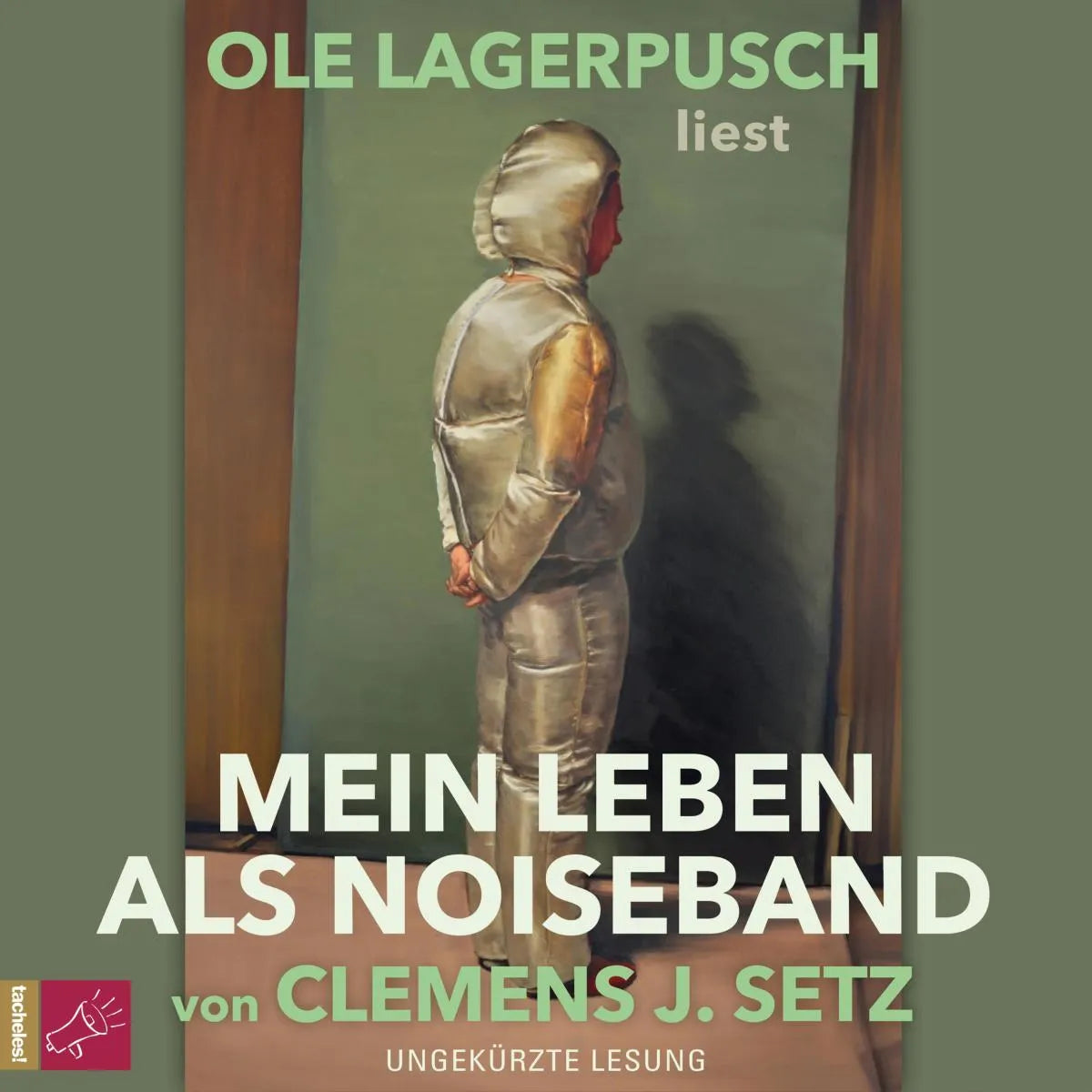 Cover: Mein Leben als Noiseband (Hörbuch Download) von Clemens J. Setz