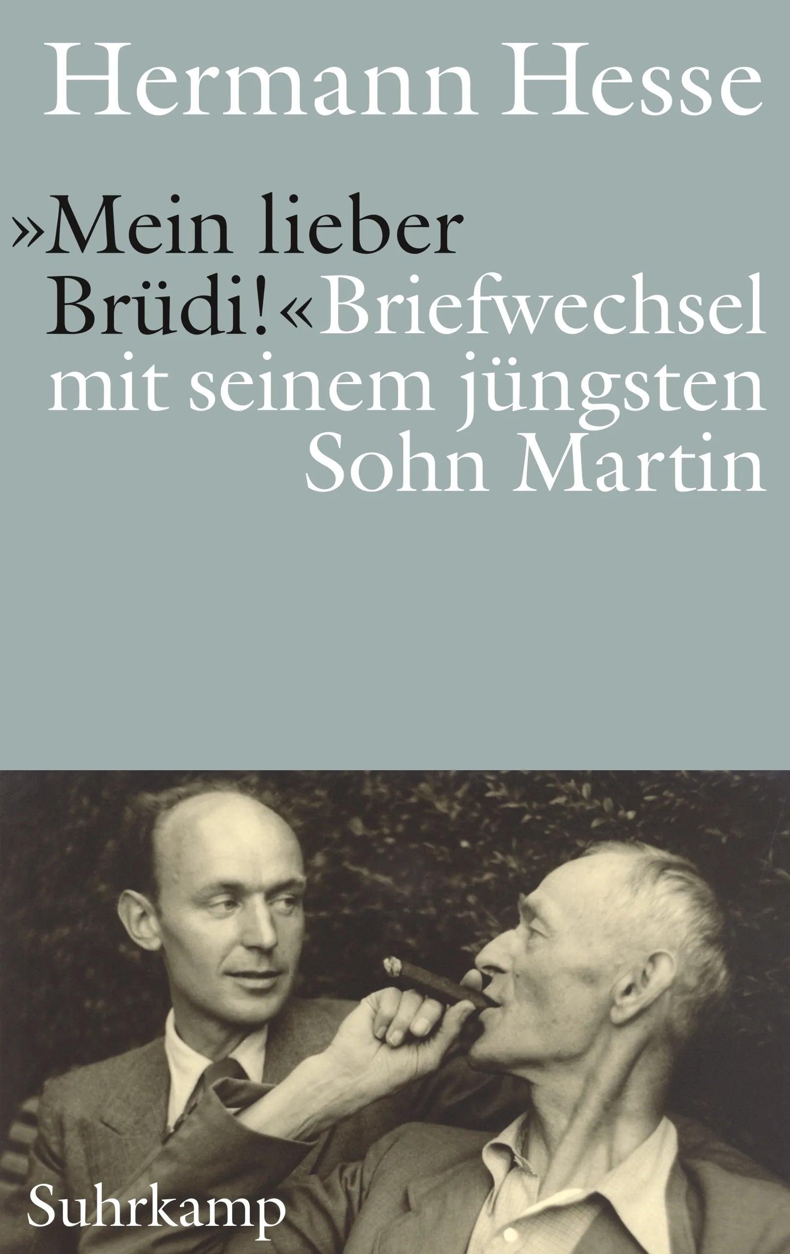 Cover: »Mein lieber Brüdi!« (E-Book) von Hermann Hesse