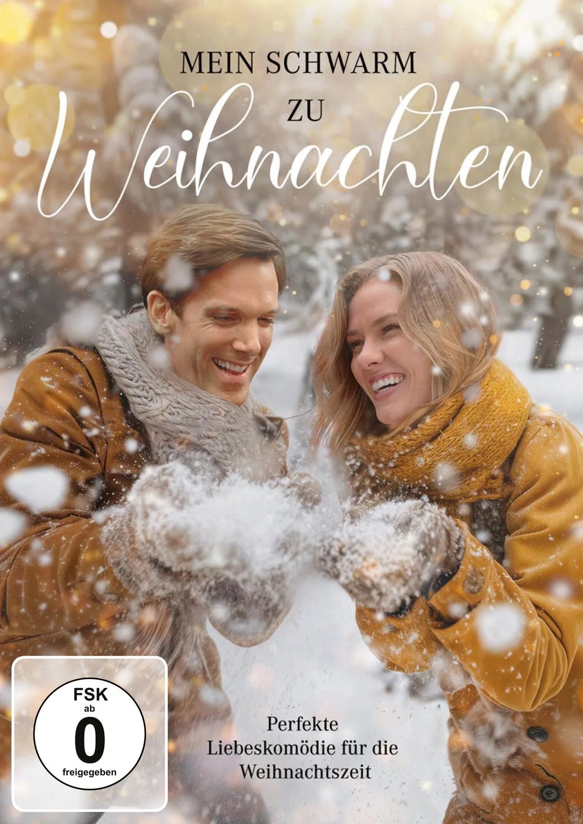 Mein Schwarm zu Weihnachten - DVD