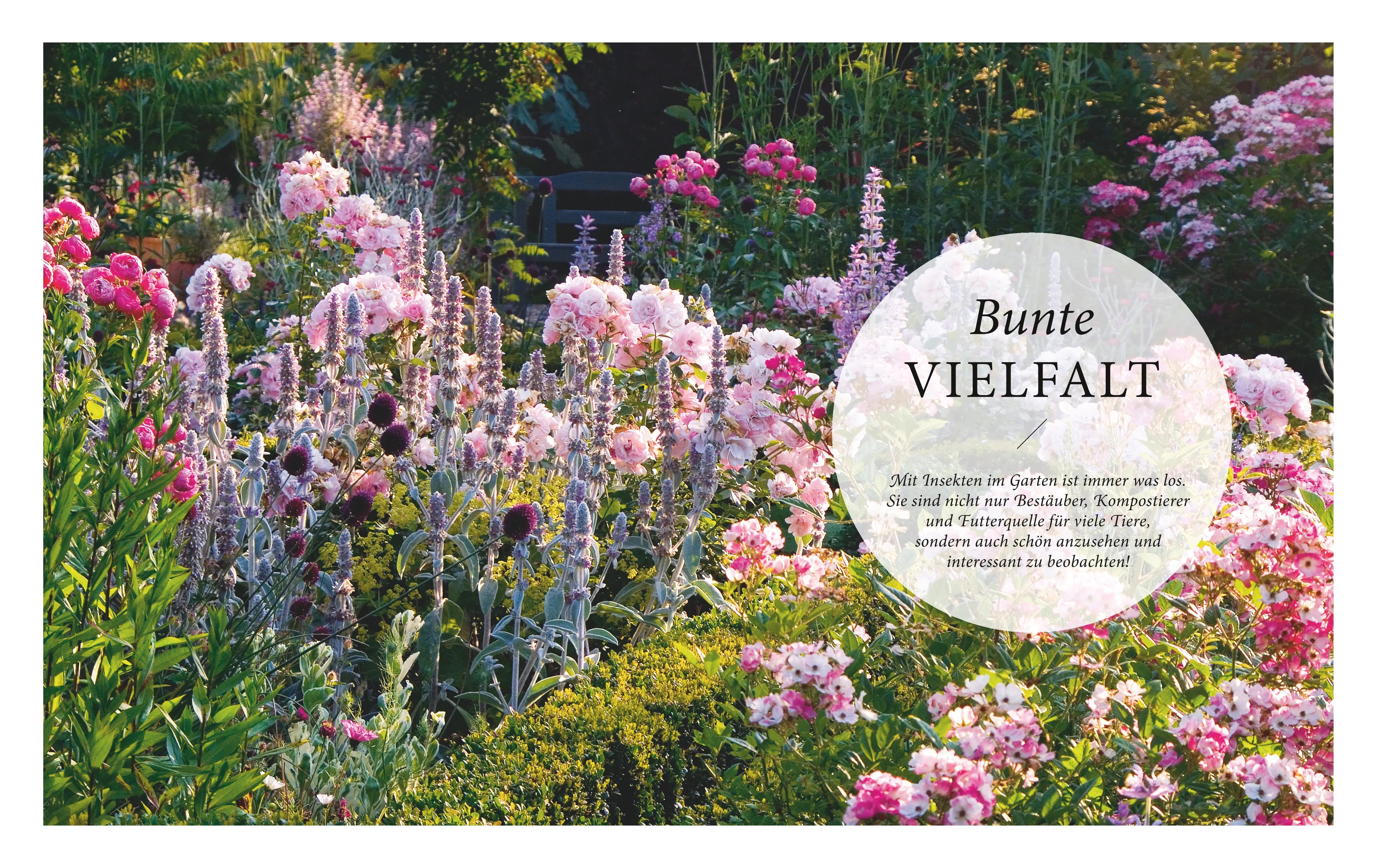 Produktansicht: Mein summendes Paradies (Gebundene Ausgabe)