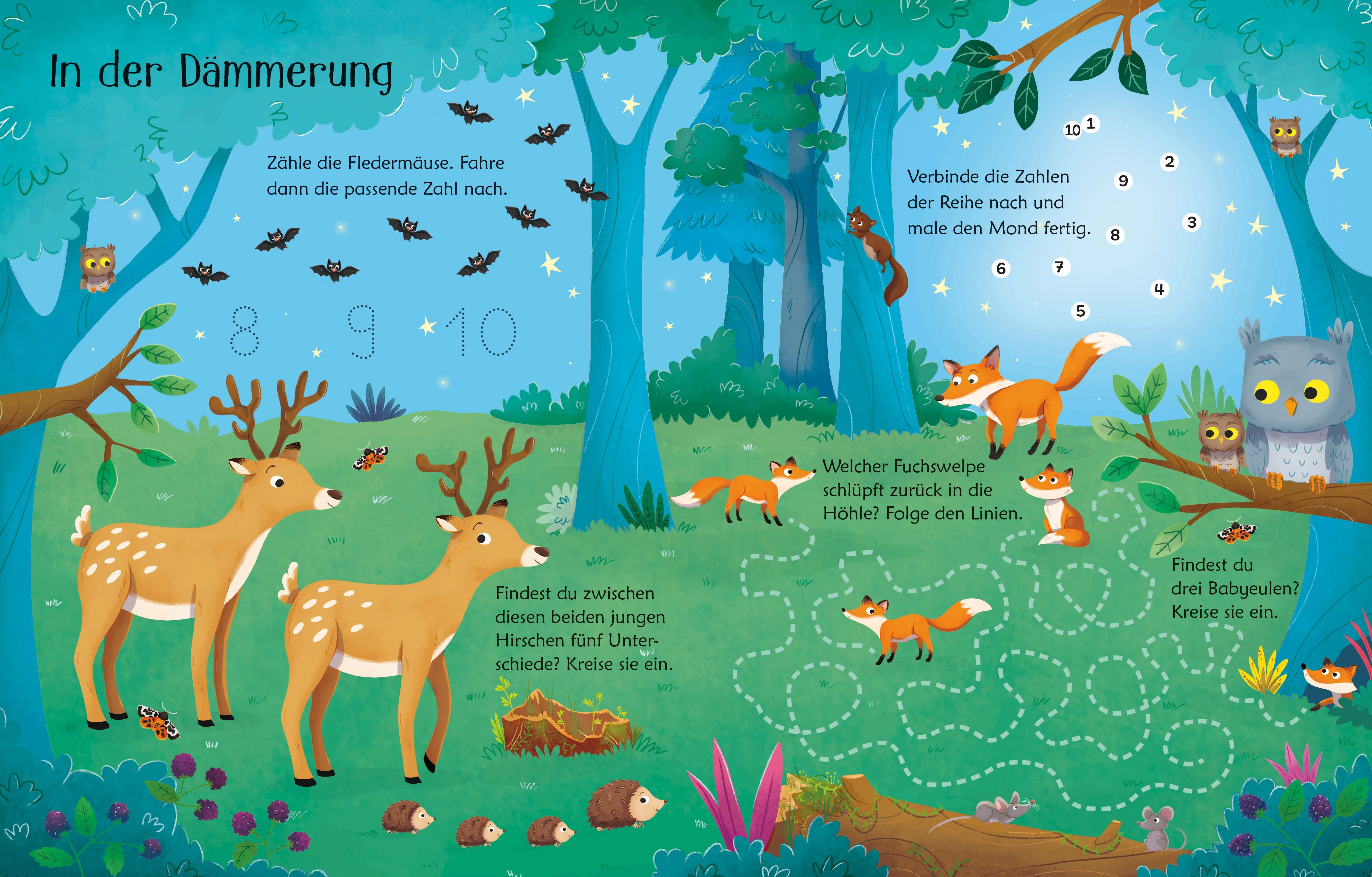 Kirsteen Robson - Mein Wisch-und-weg-Buch: Im Wald