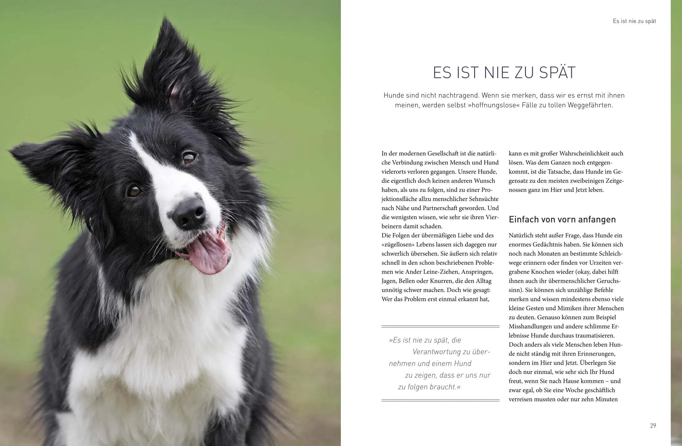 Abbildung von 'Meine 5 Geheimnisse für eine glückliche Mensch-Hund-Beziehung'
