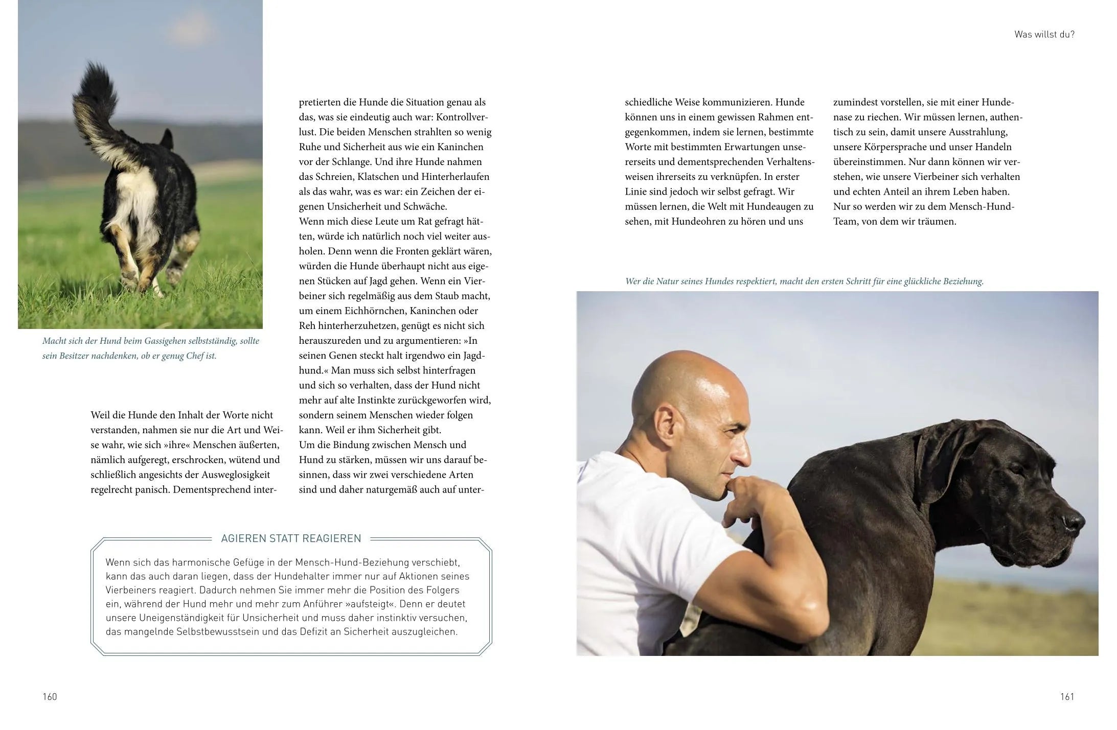 Produktansicht: Meine 5 Geheimnisse für eine glückliche Mensch-Hund-Beziehung (Gebundene Ausgabe)