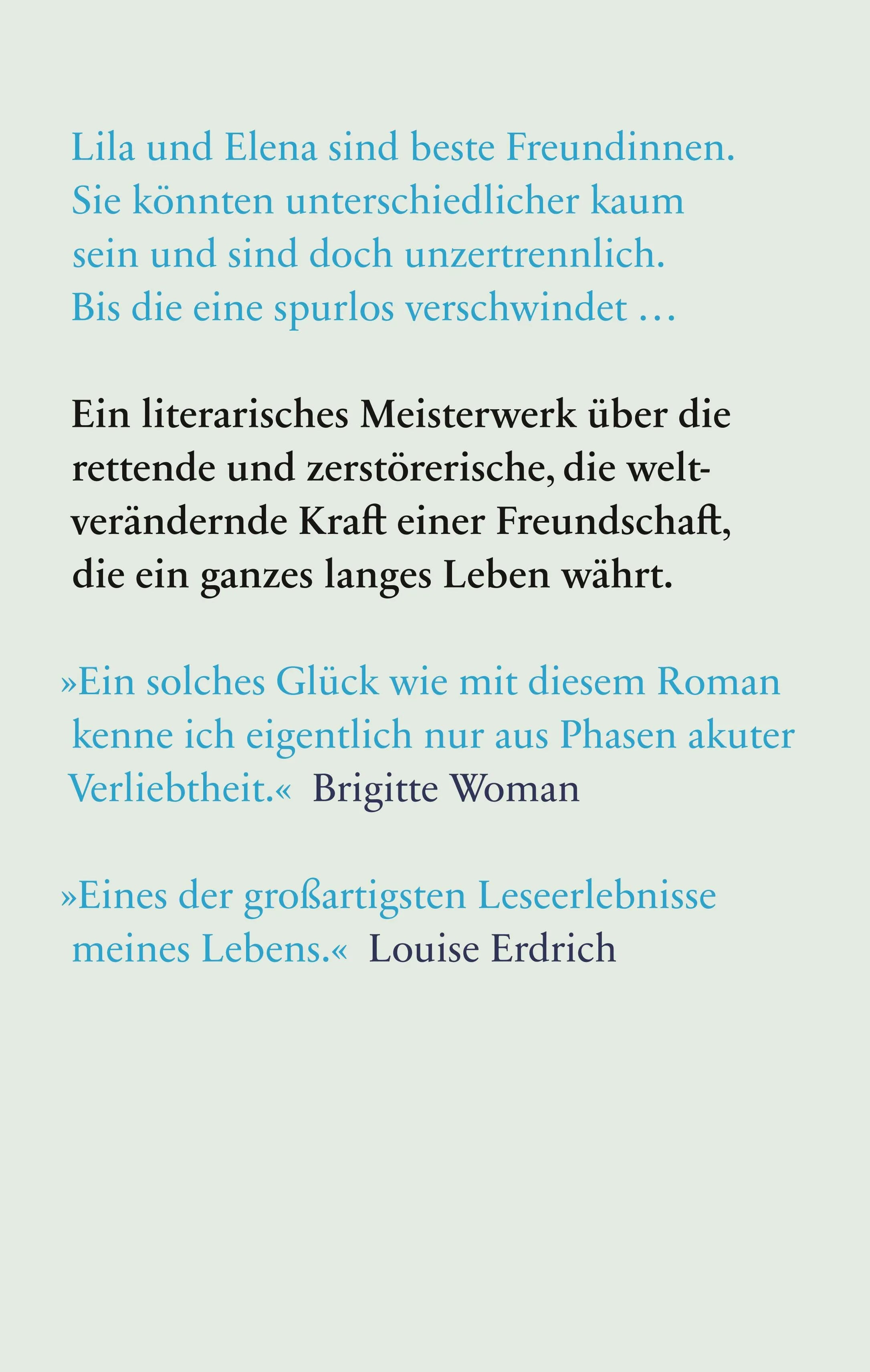 Buchrückseite von 'Meine geniale Freundin' mit Klappentext - Gebundene Ausgabe