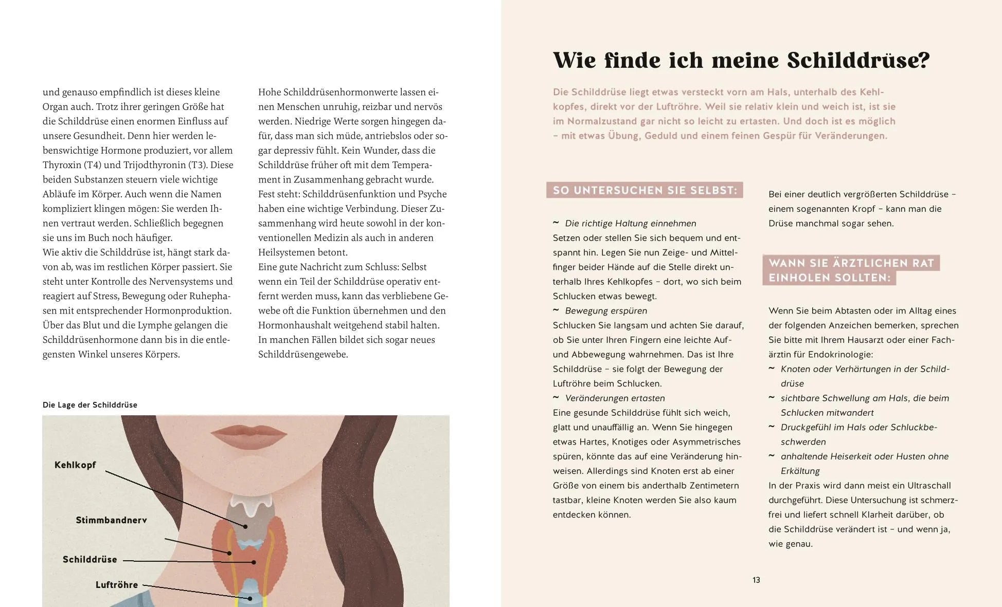 Abbildung von 'Meine Gesundheitsretter aus der Natur für eine starke Schilddrüse'