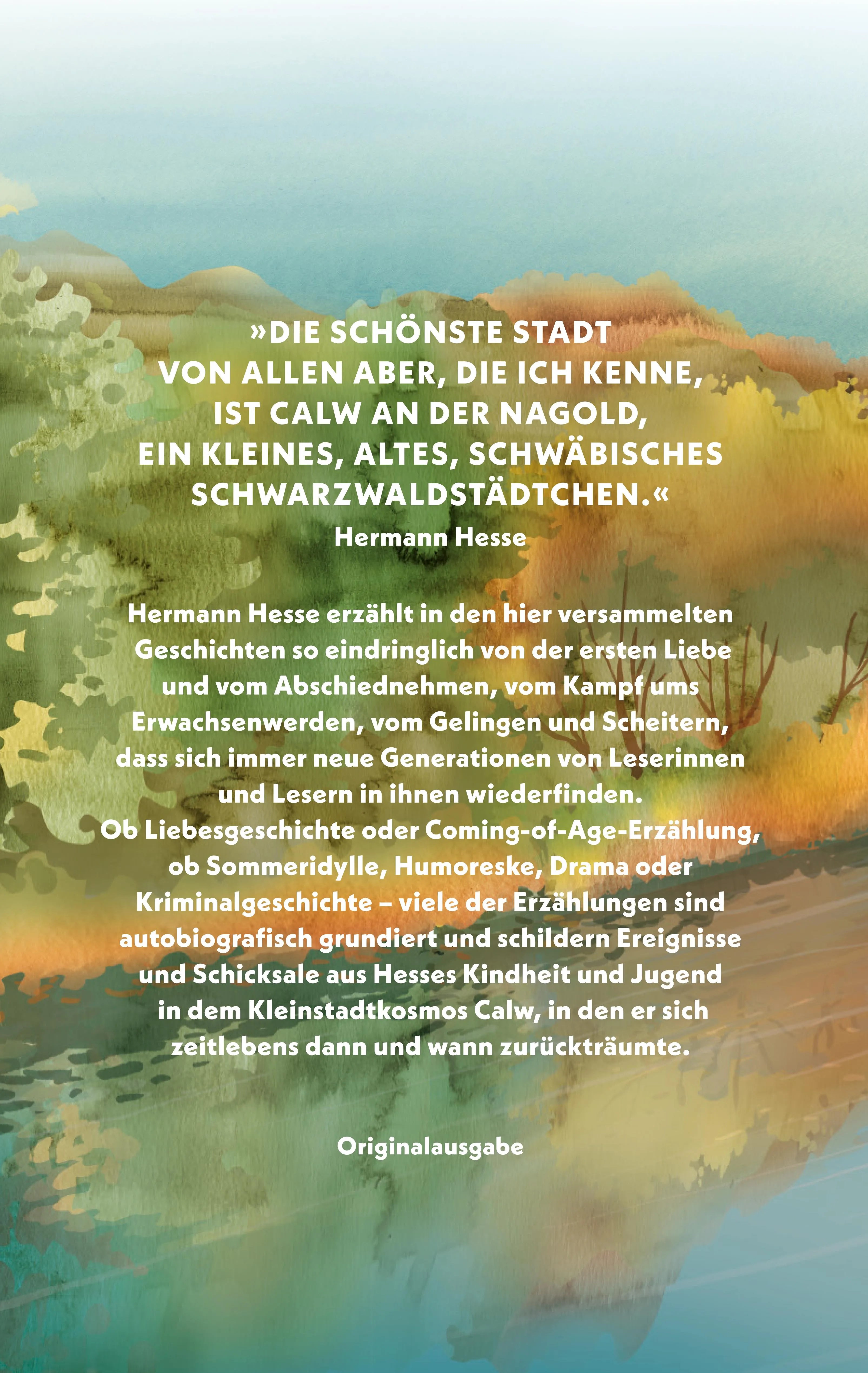 Buchrückseite von 'Meine kleine Stadt' mit Klappentext - Paperback