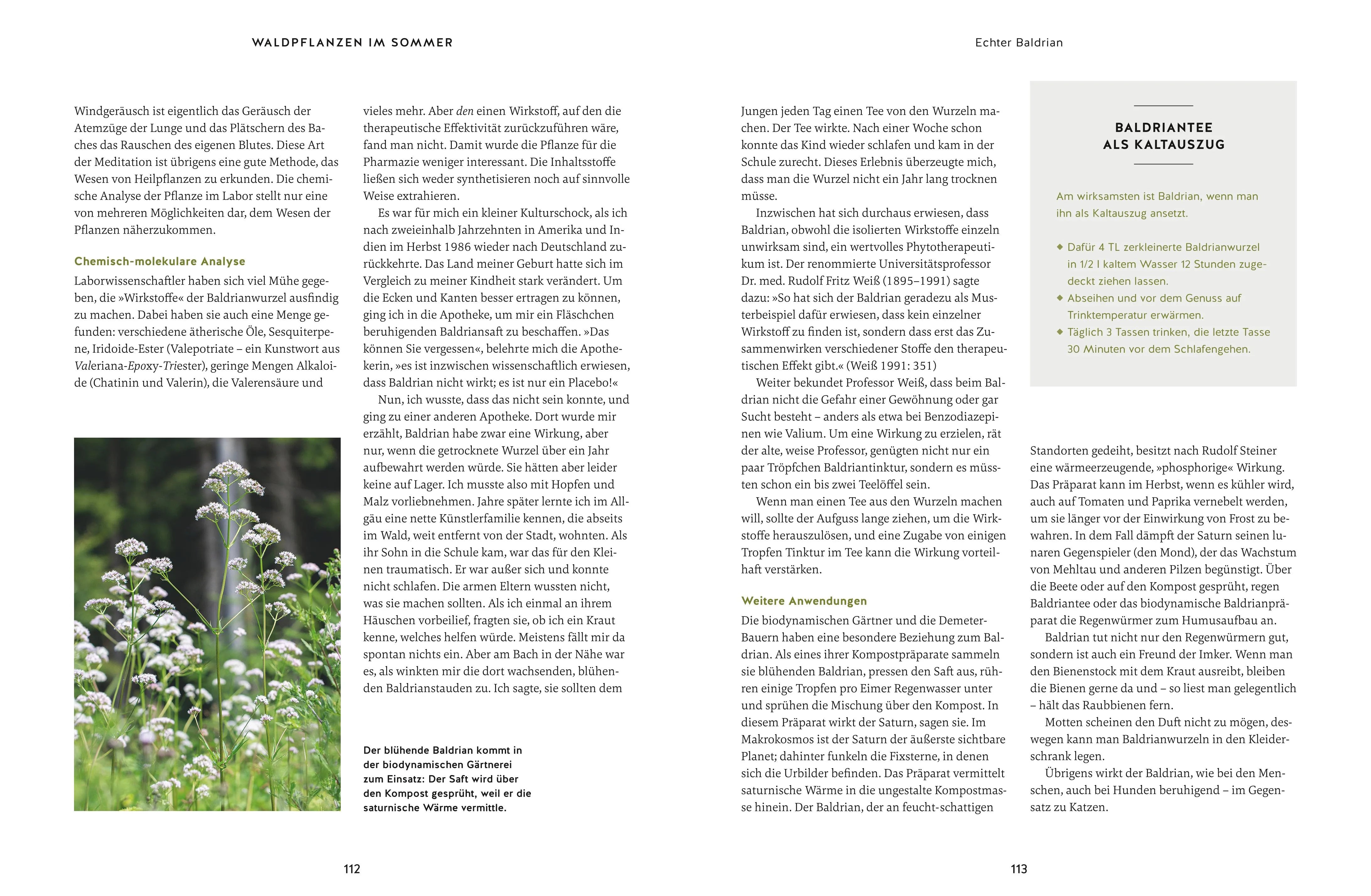 Produktansicht: Meine Kräuter des Waldes (Gebundene Ausgabe)