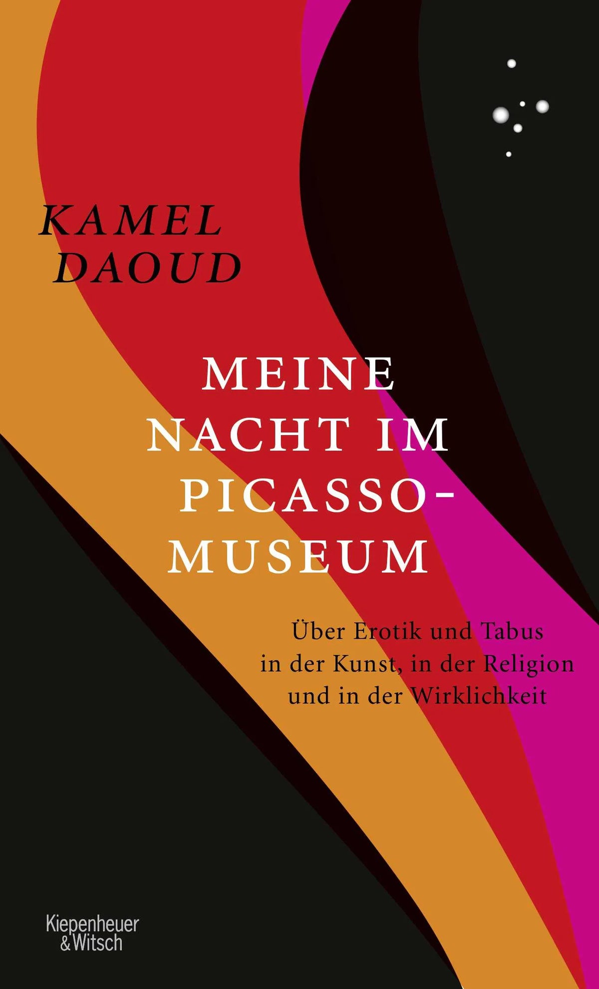 Buchcover von 'Meine Nacht im Picasso-Museum' - Gebundene Ausgabe von Kamel Daoud