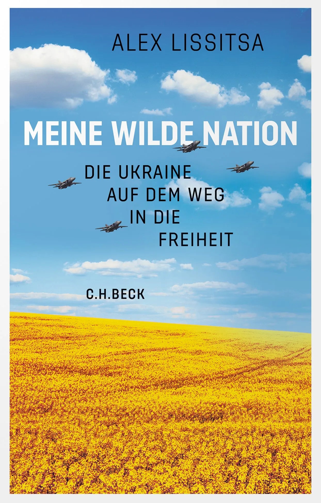 Cover: Meine wilde Nation (Hardcover) von Alex Lissitsa