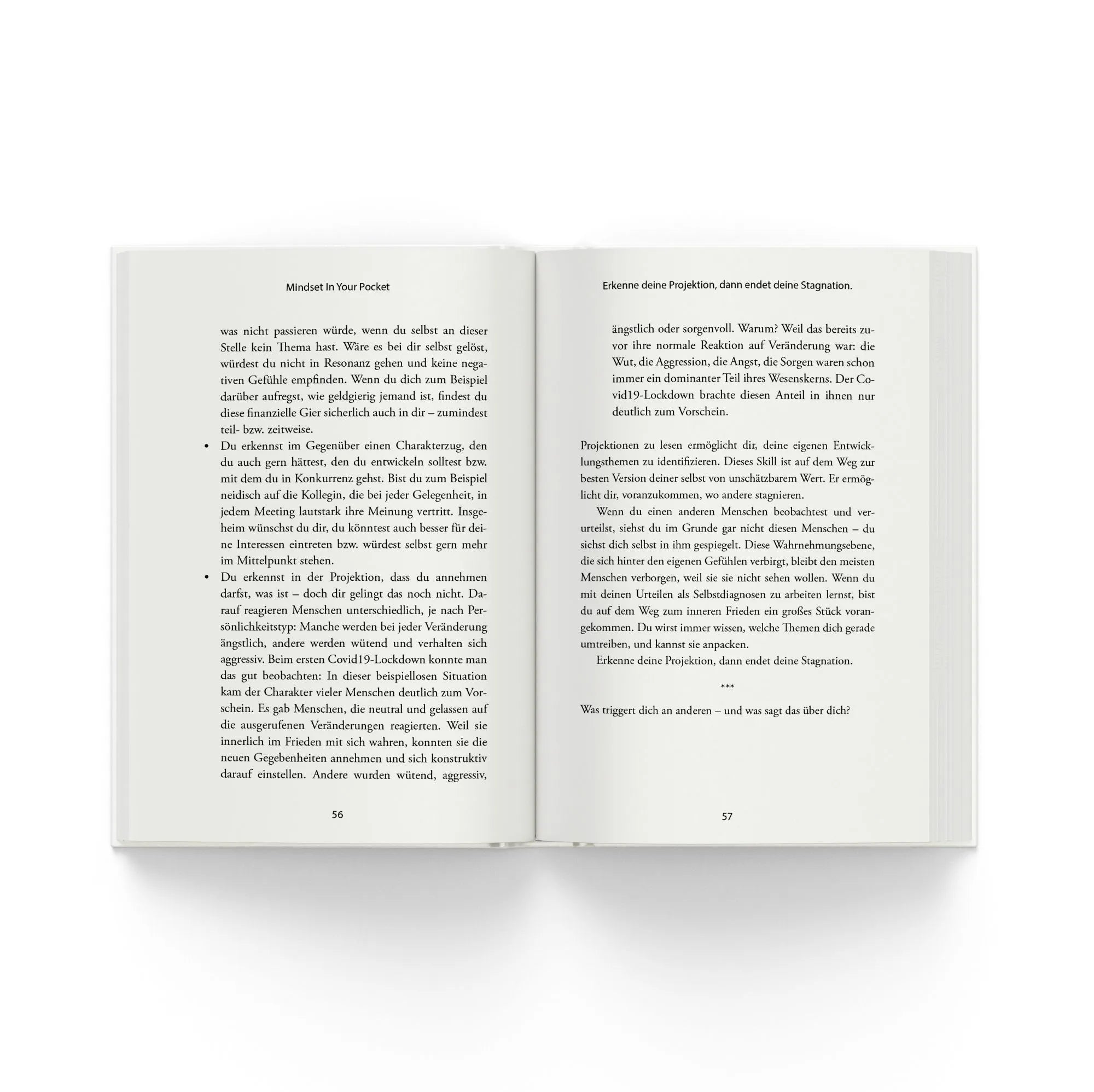 Detailansicht: Meistere dein Mindset (Taschenbuch)