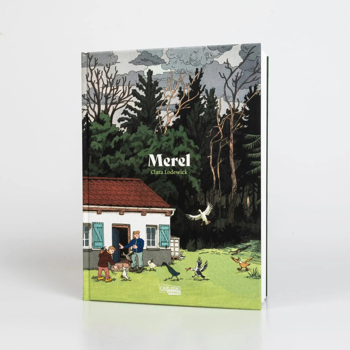 Produktansicht: Merel (Gebundene Ausgabe)